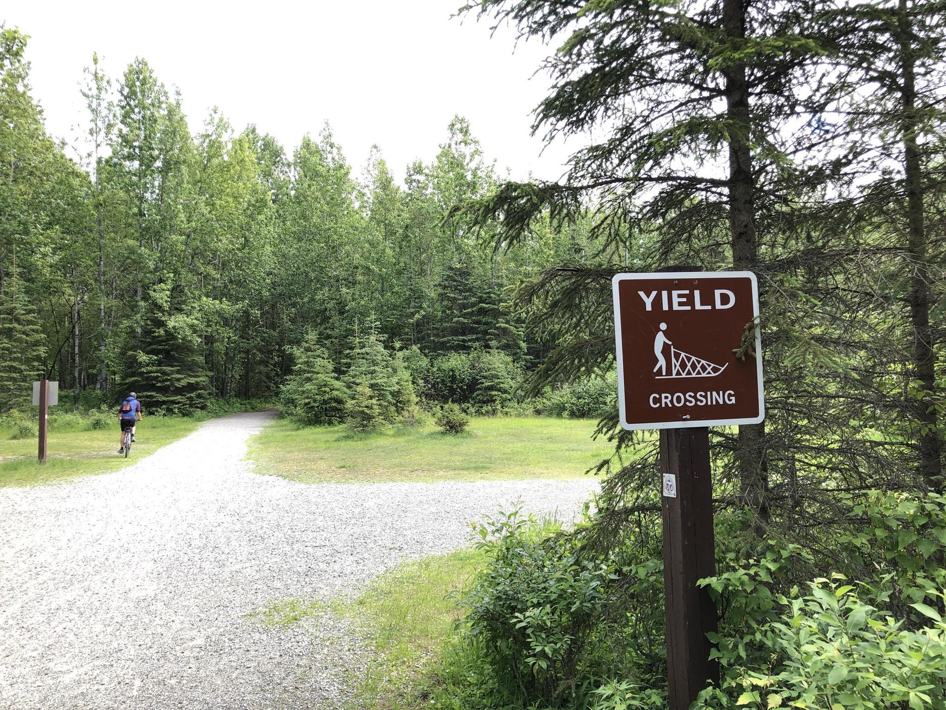 A cyclist on a gravel path near a 'Yield Crossing' sign in a green forest.