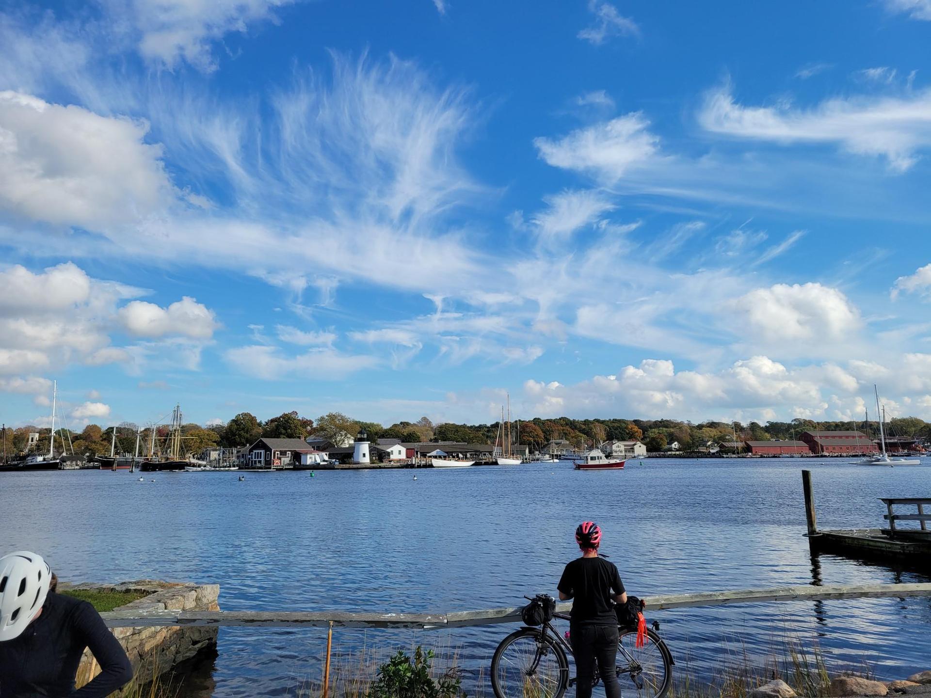 A cyclist stands by water, looking at boats under a bright blue sky.