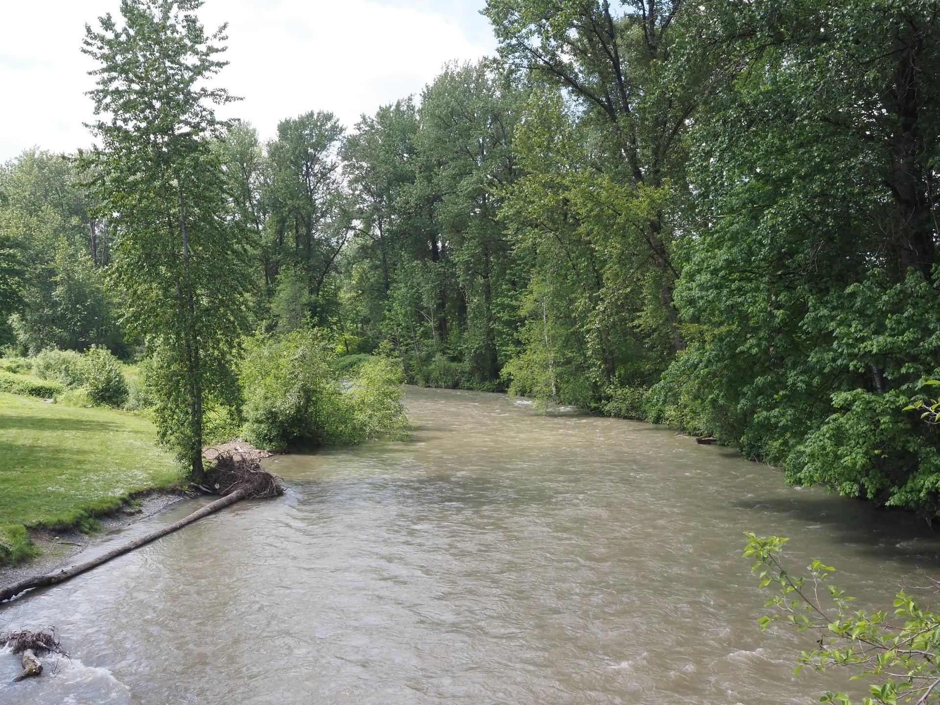 A murky river flows between lush green forested banks under an overcast sky.