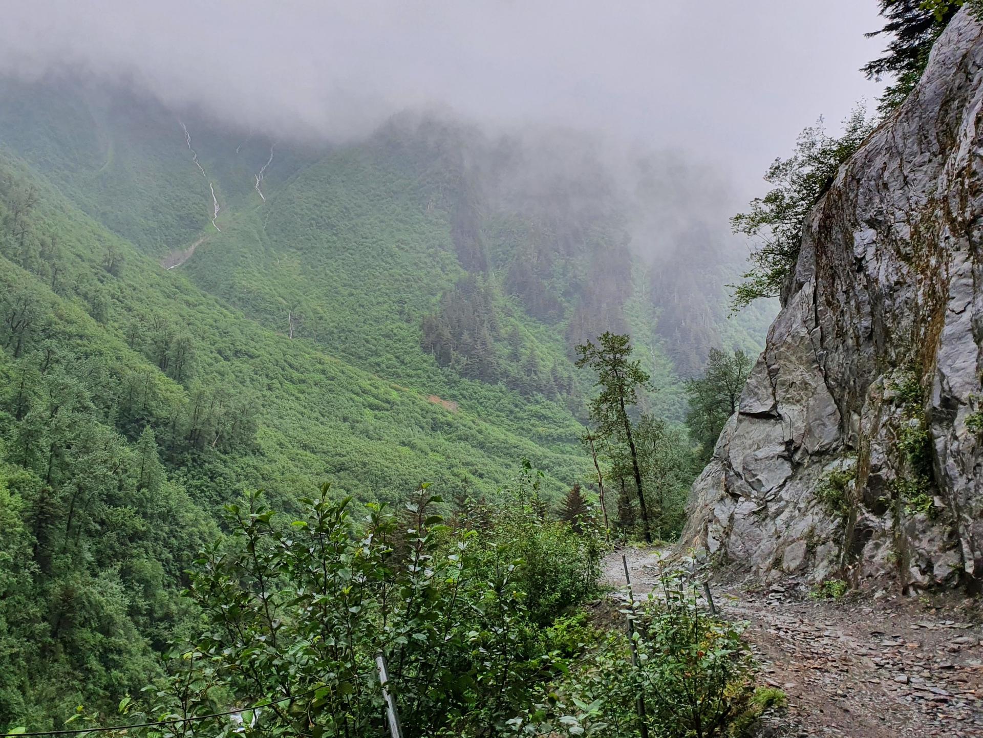 Misty green mountain slopes and a rocky path under an overcast sky.