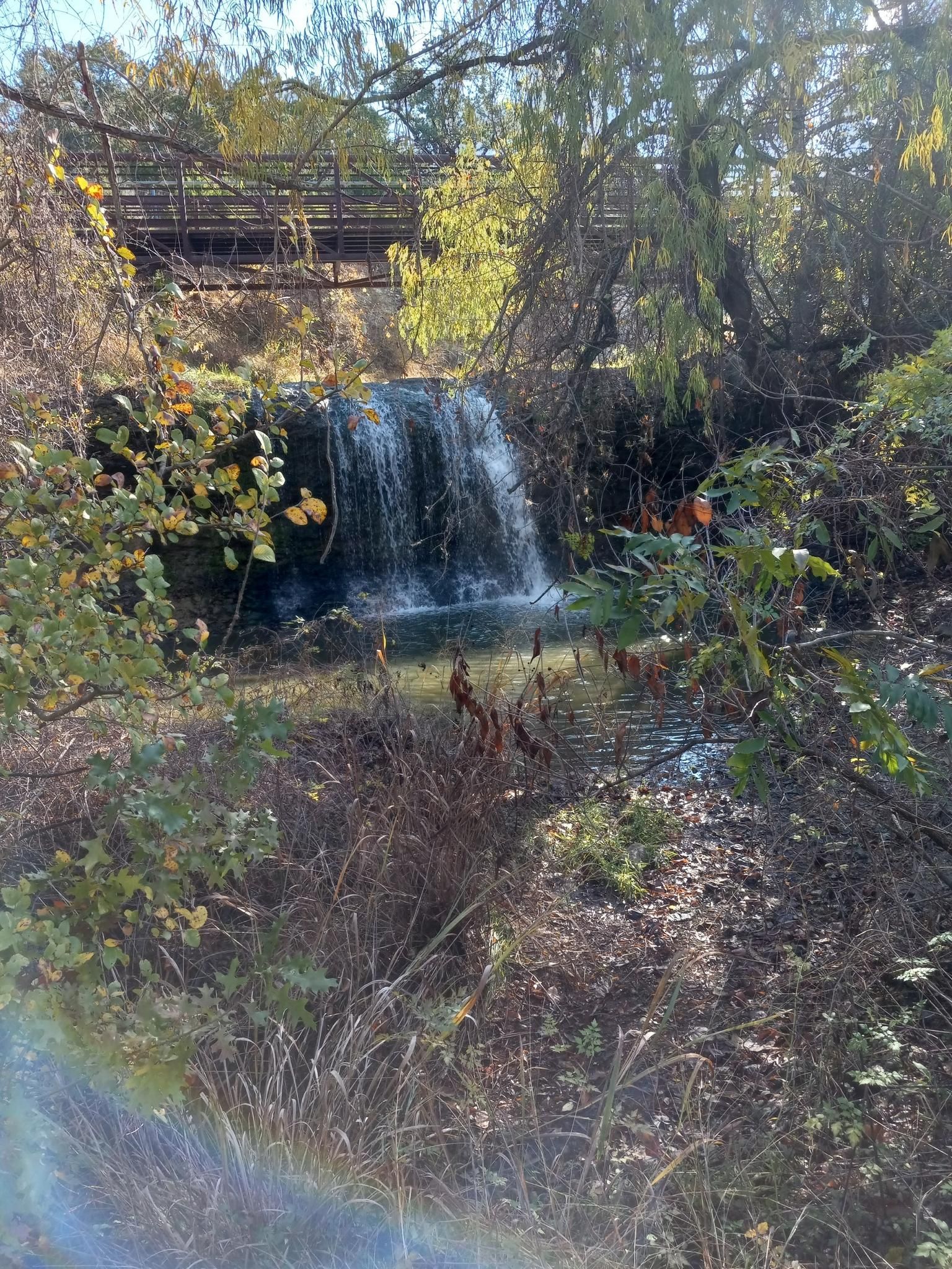 Small waterfall cascading into a pool amidst dense green and brown foliage. - The Rim Loop and Brushy Creek Trail