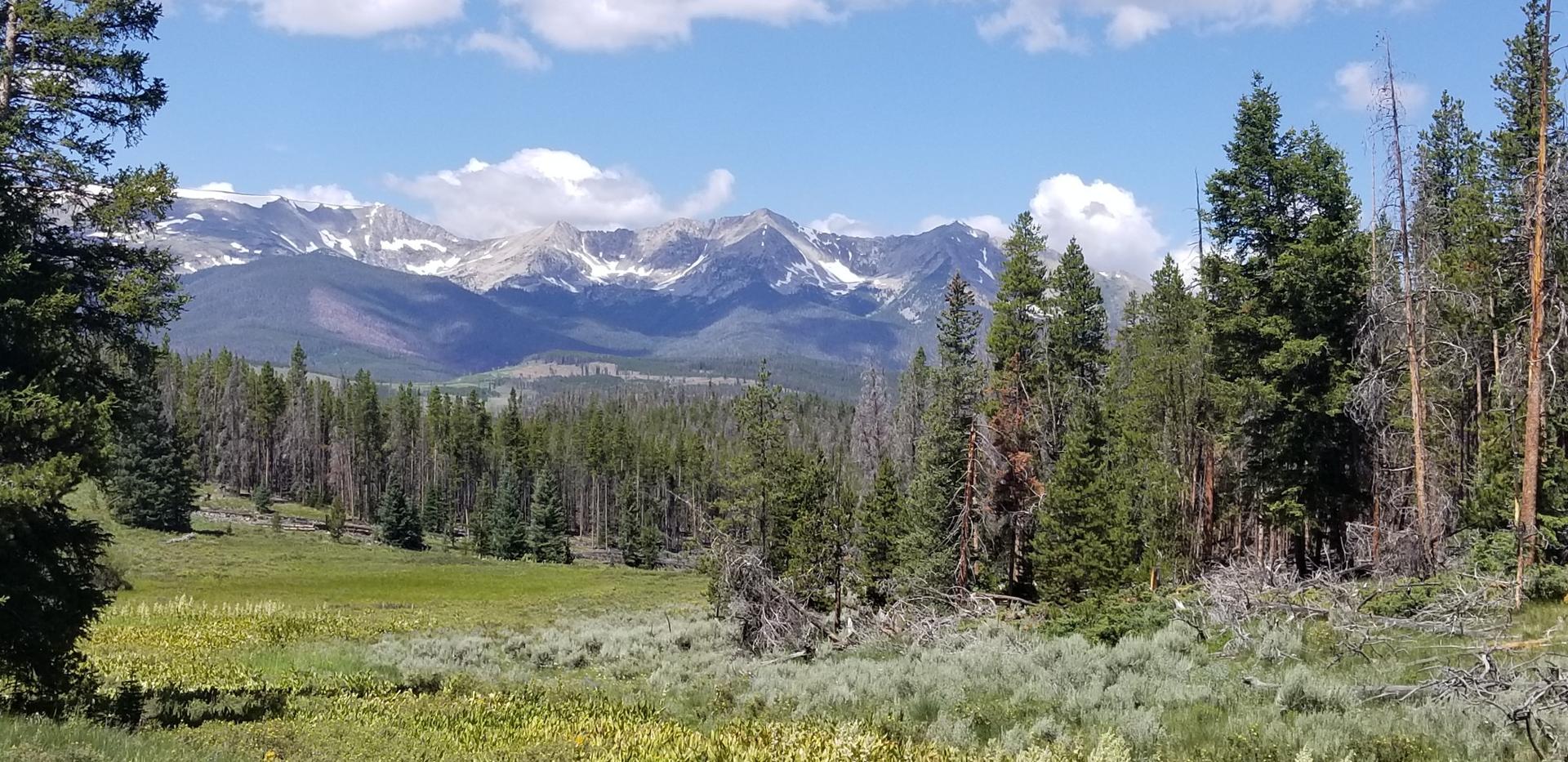 Sunny mountain landscape with snow-capped peaks, green forests, and meadows.
