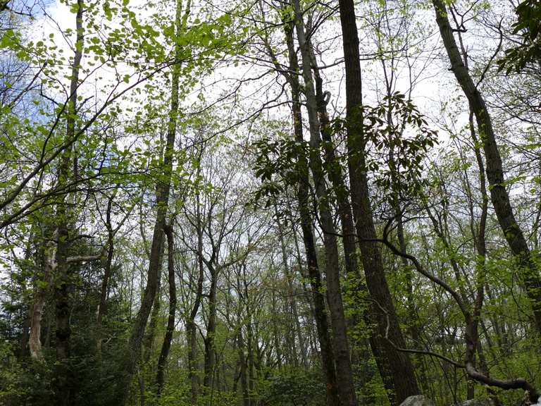 River of Rocks Trail loop — Hawk Mountain Sanctuary hike Komoot