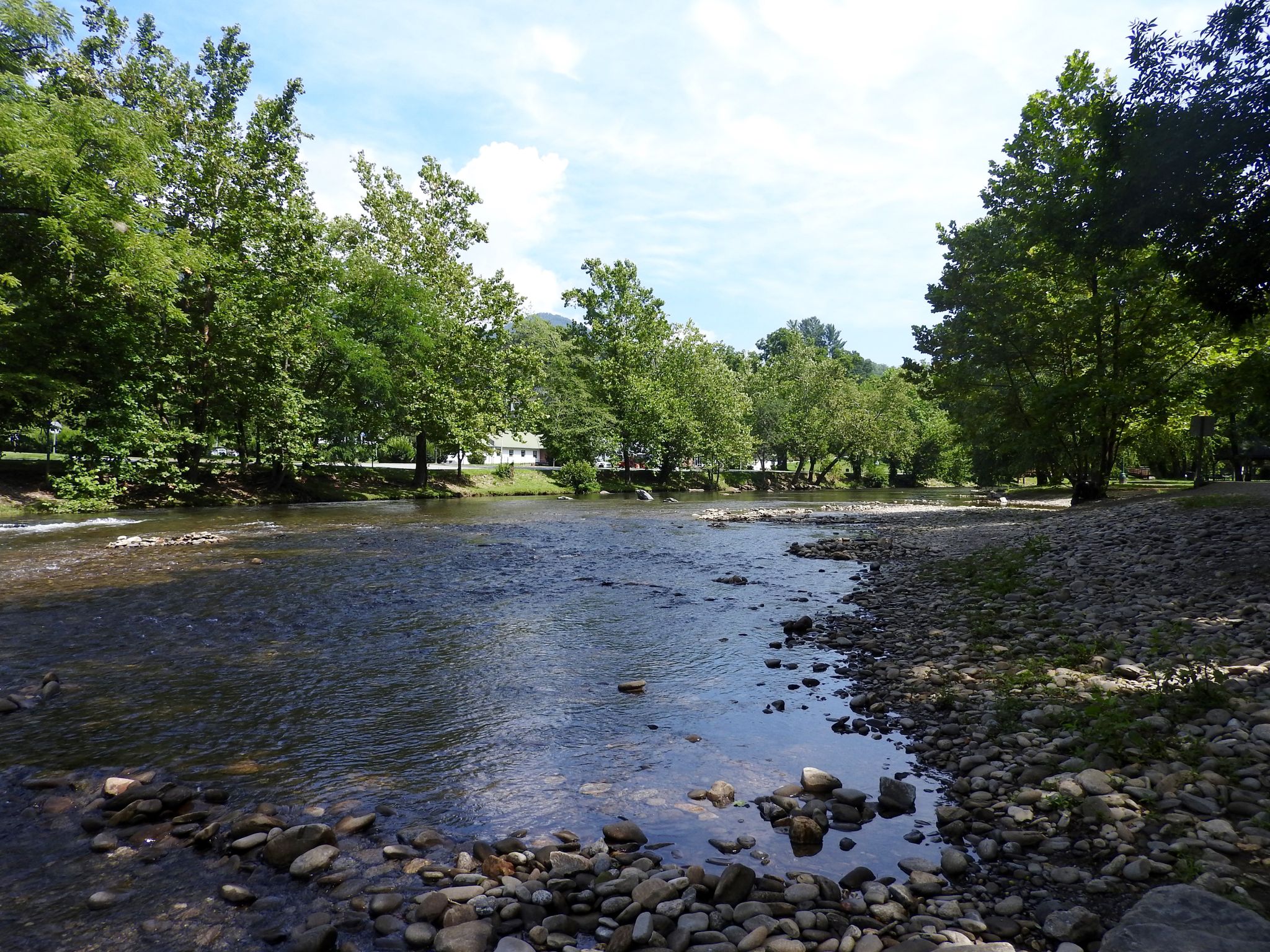 A wide river flows past rocky banks and lush green trees on a sunny day. - Oconaluftee River Trail