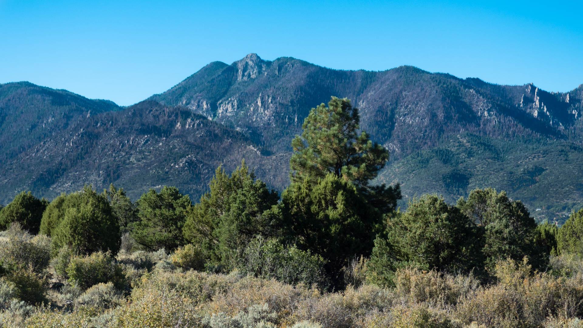 Evergreen trees and scrubland in front of large, rugged mountains under clear sky.