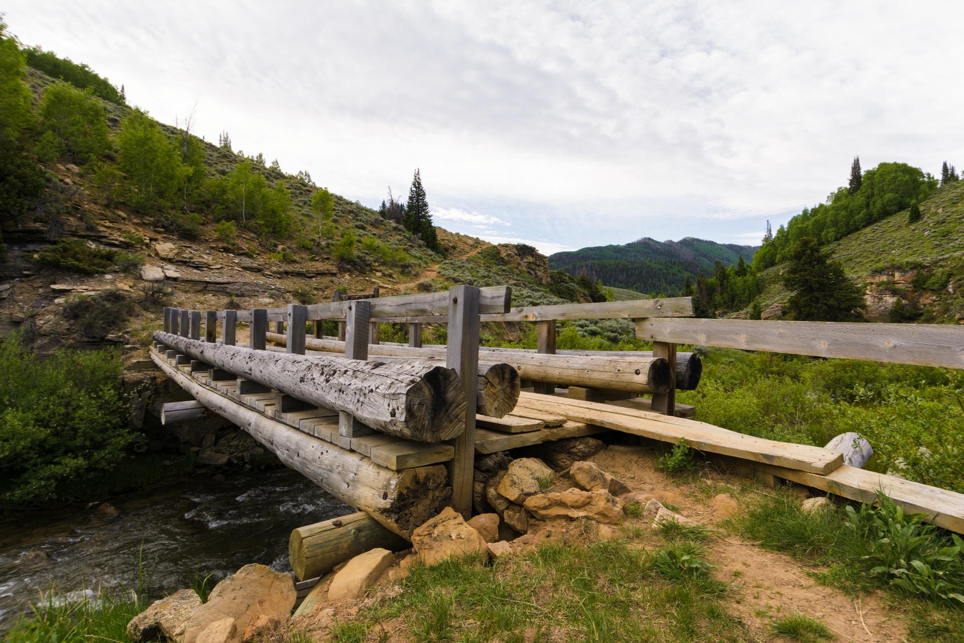 Rustic log bridge spans a rocky stream under an overcast sky.