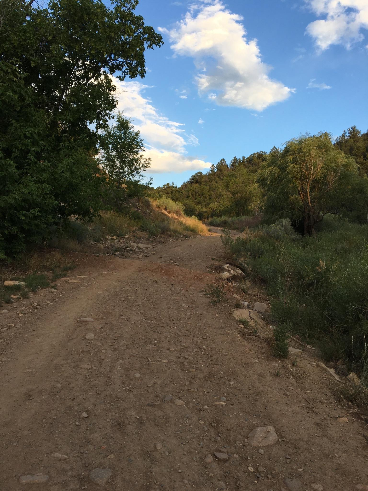 A dirt path winds uphill through green trees and brush under a partly cloudy sky.