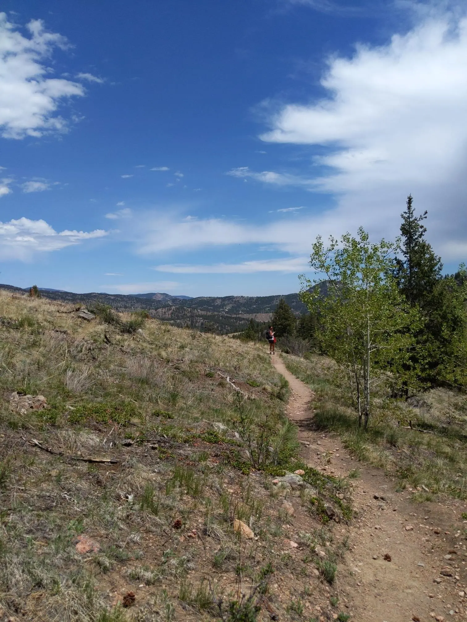 A person hikes a winding dirt trail on a sunny, arid hillside.
