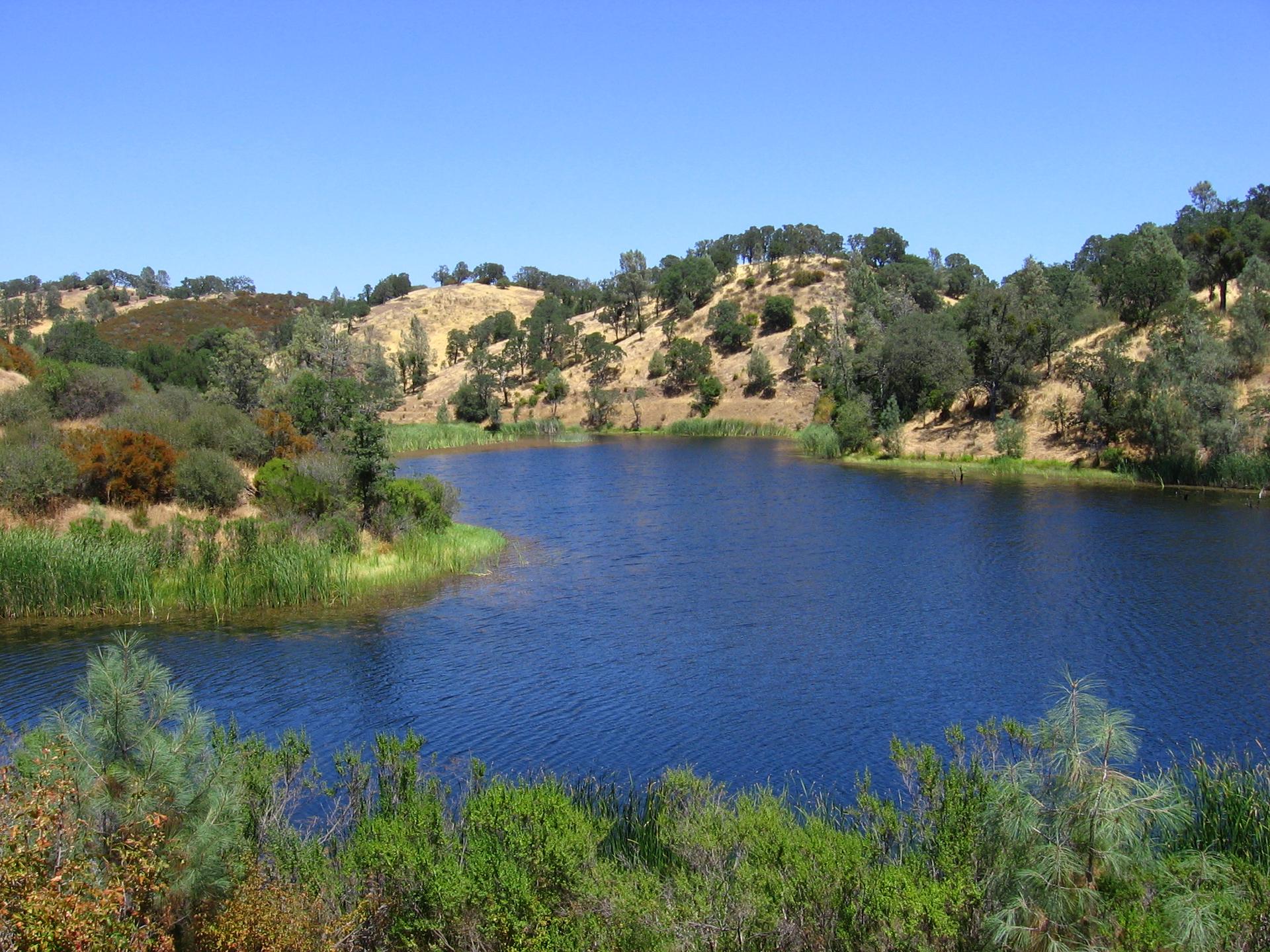 A serene blue lake surrounded by green hills and trees under a clear sky.