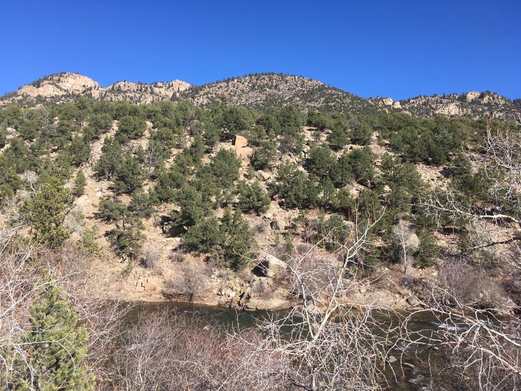 Sunny mountain landscape with a river flowing below a tree-covered slope.