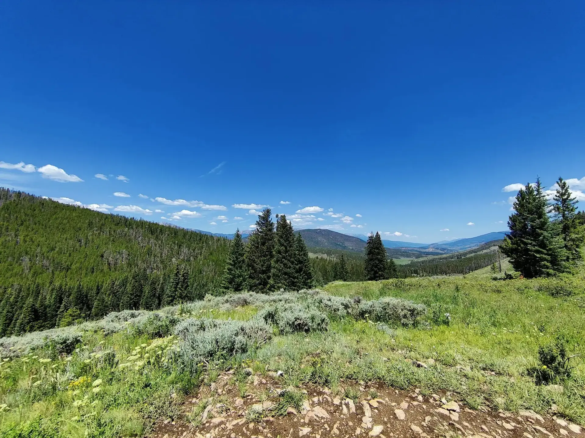 A vast mountain landscape with green forests under a bright blue sky.