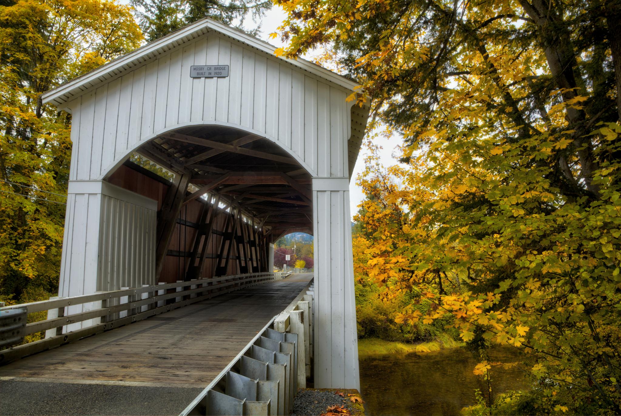White covered bridge surrounded by vibrant yellow autumn trees, bright light.