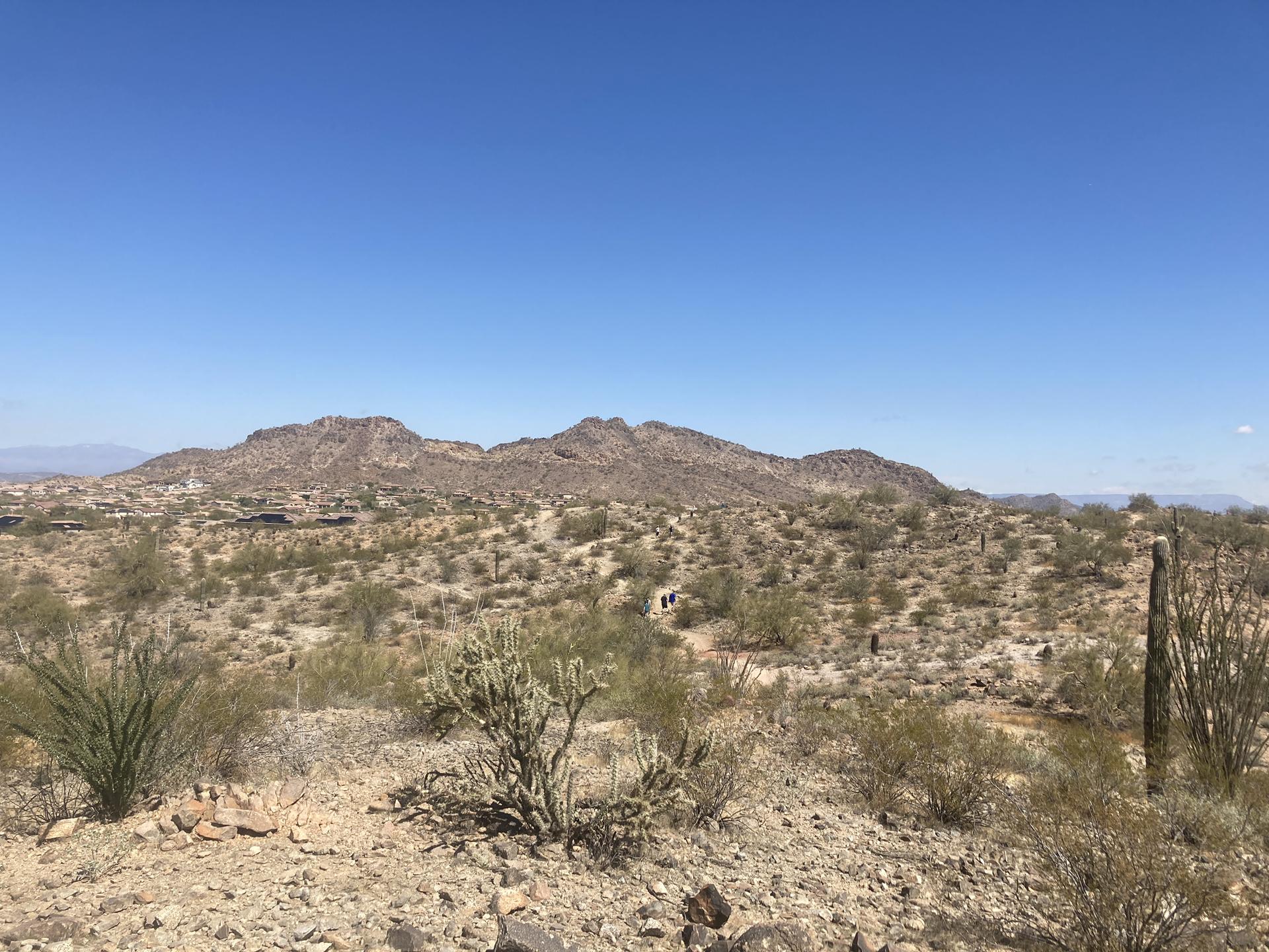 Arid desert landscape with sparse vegetation and rugged mountains under a clear blue sky.