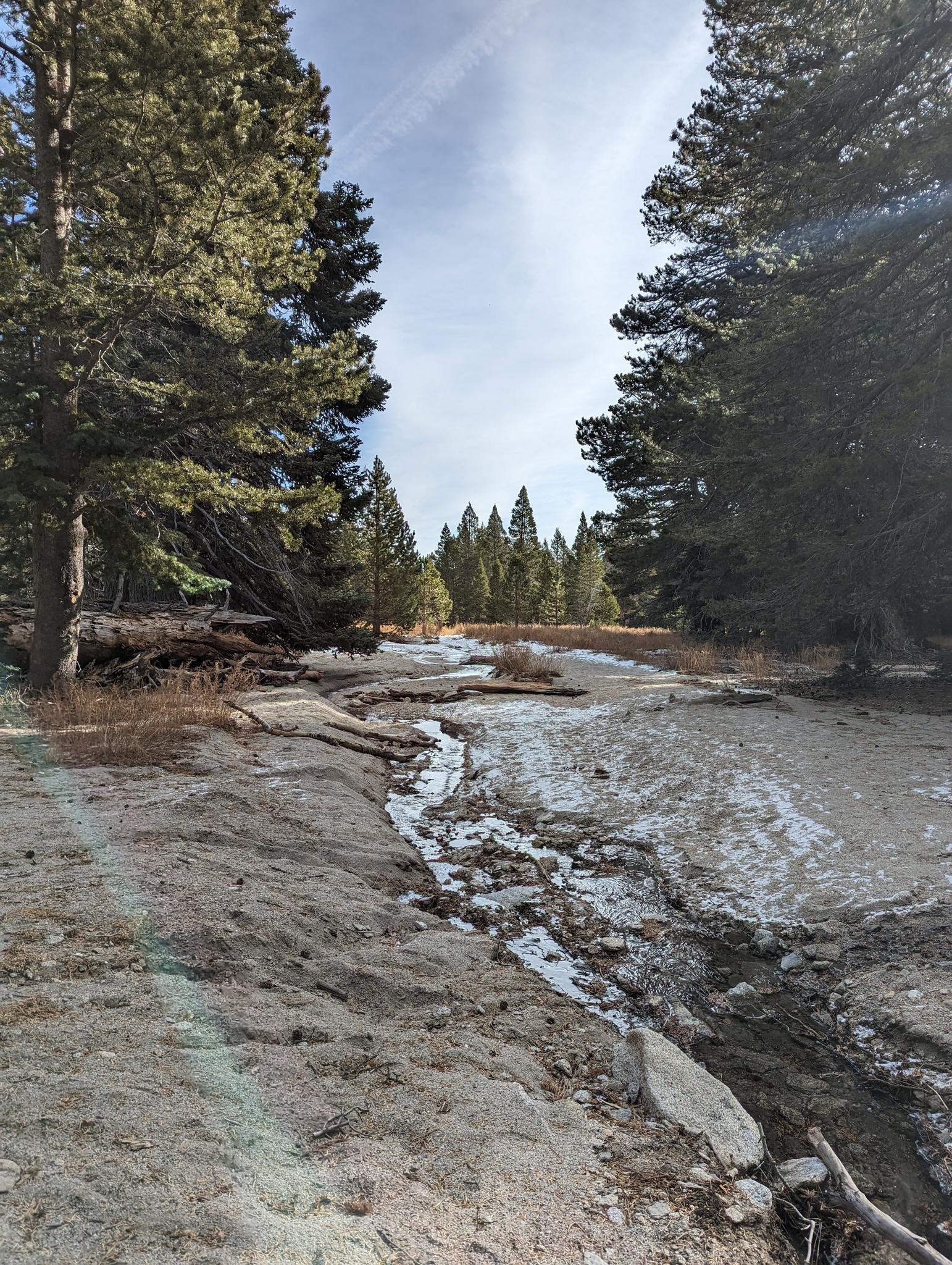 A small stream flows through a snowy, forested path on a sunny day.