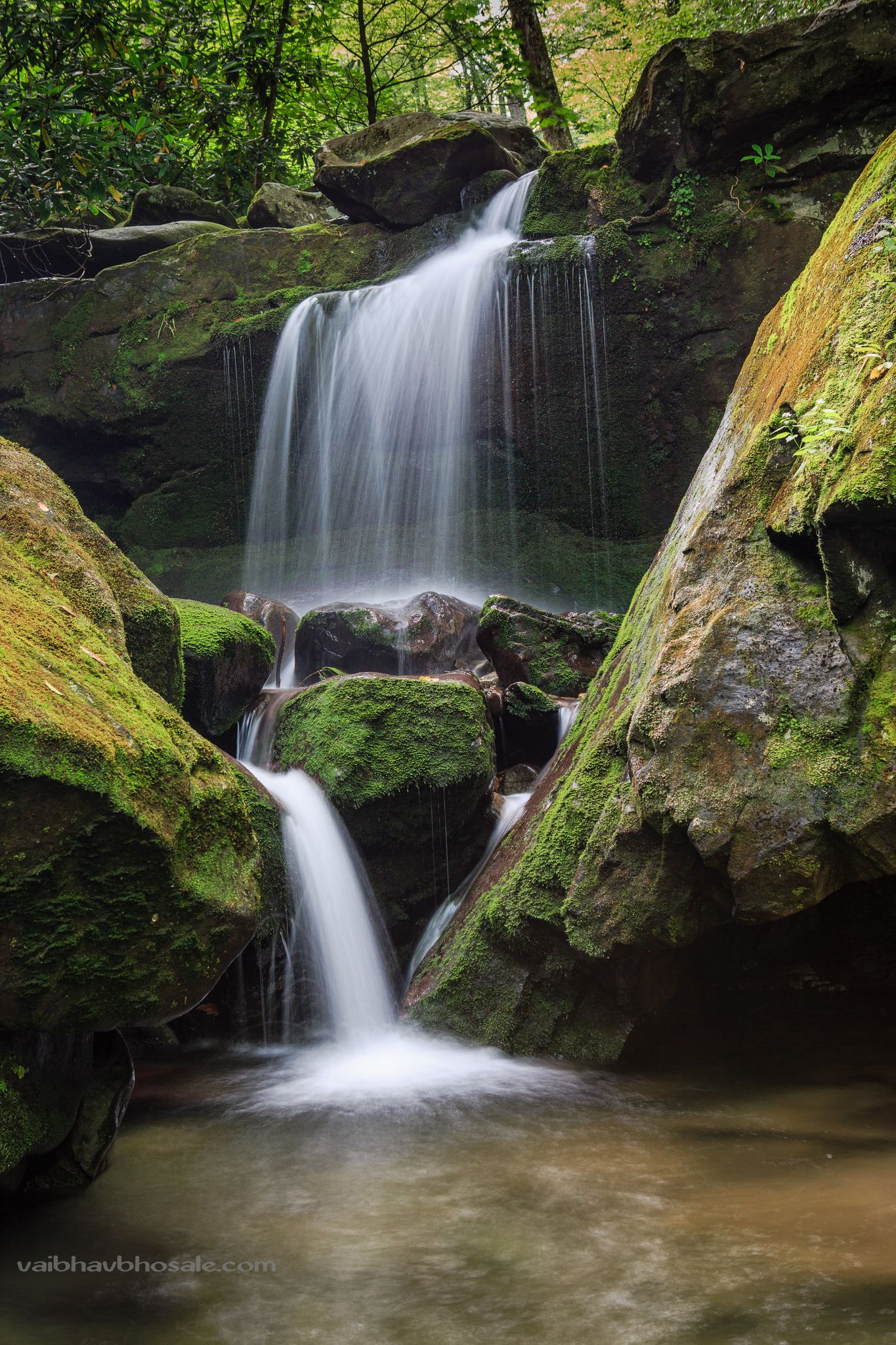 Small waterfall flowing over mossy rocks in a shaded forest. - Grotto Falls via Trillium Gap Trail