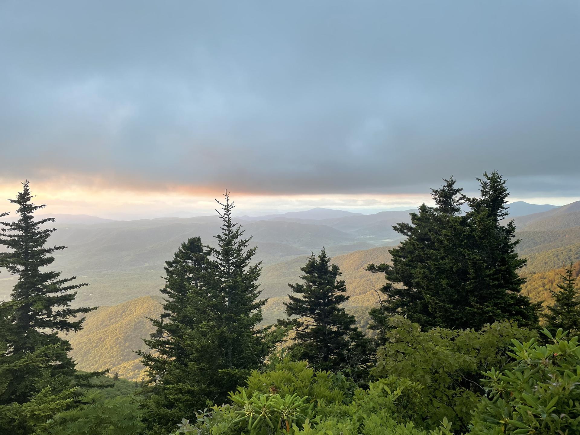 Evergreen trees frame a vast mountain landscape under an overcast sky.