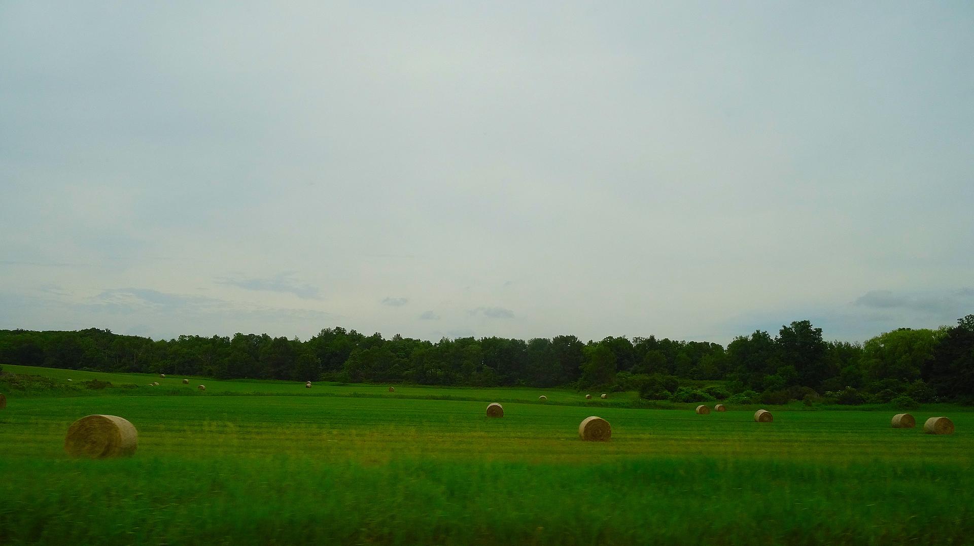 Green field with scattered hay bales under a cloudy sky.