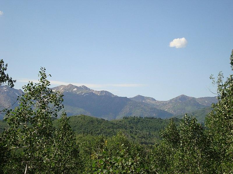 Panoramic view of distant mountains above a dense green forest under a clear sky.