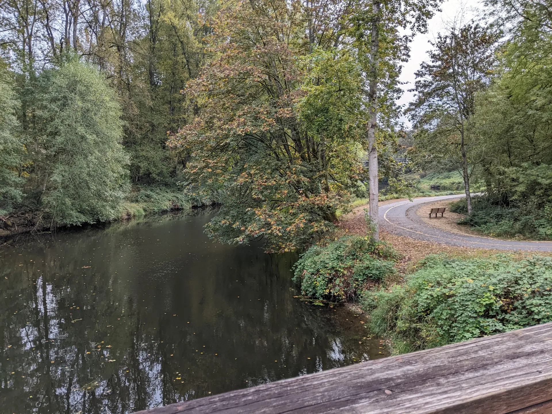 Dark river bordered by green and autumn trees, with a paved path.