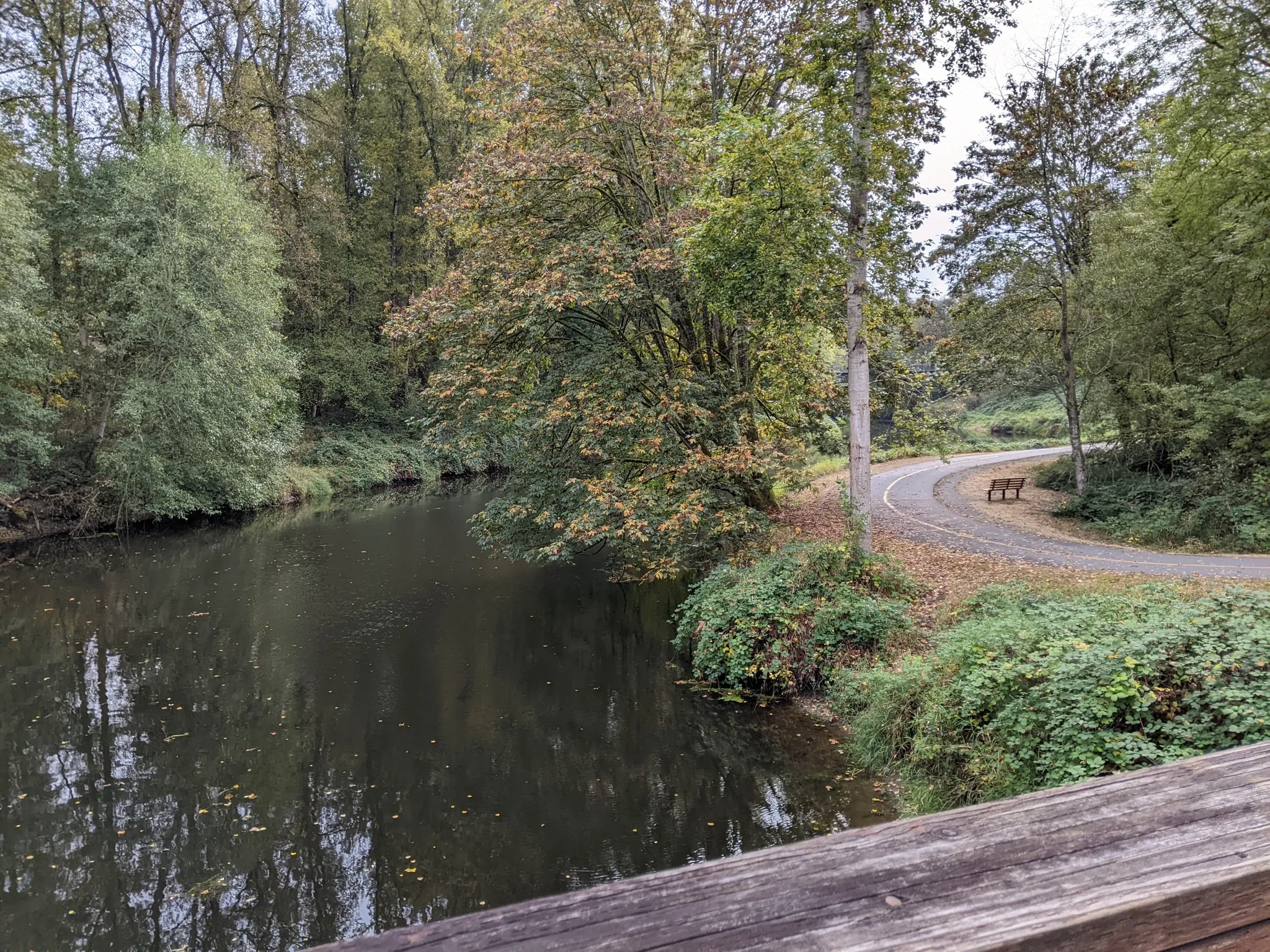 Dark river bordered by green and autumn trees, with a paved path. - Bothell Landing Trail