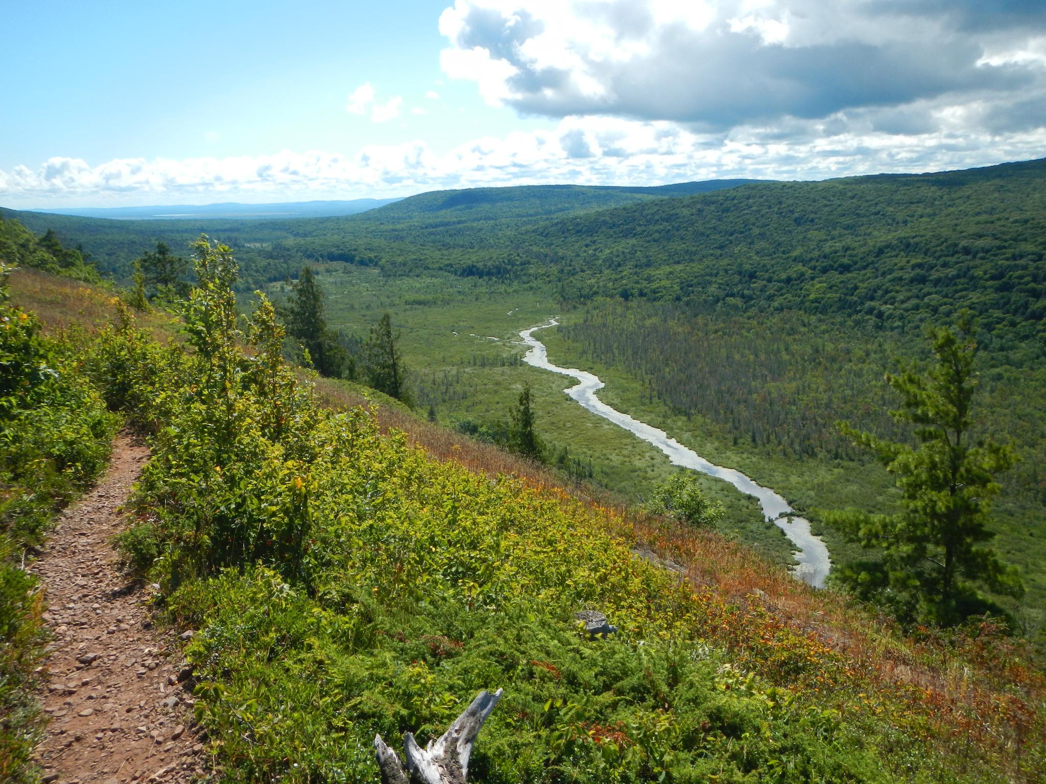 Dirt trail overlooking a winding river through a valley of green trees.