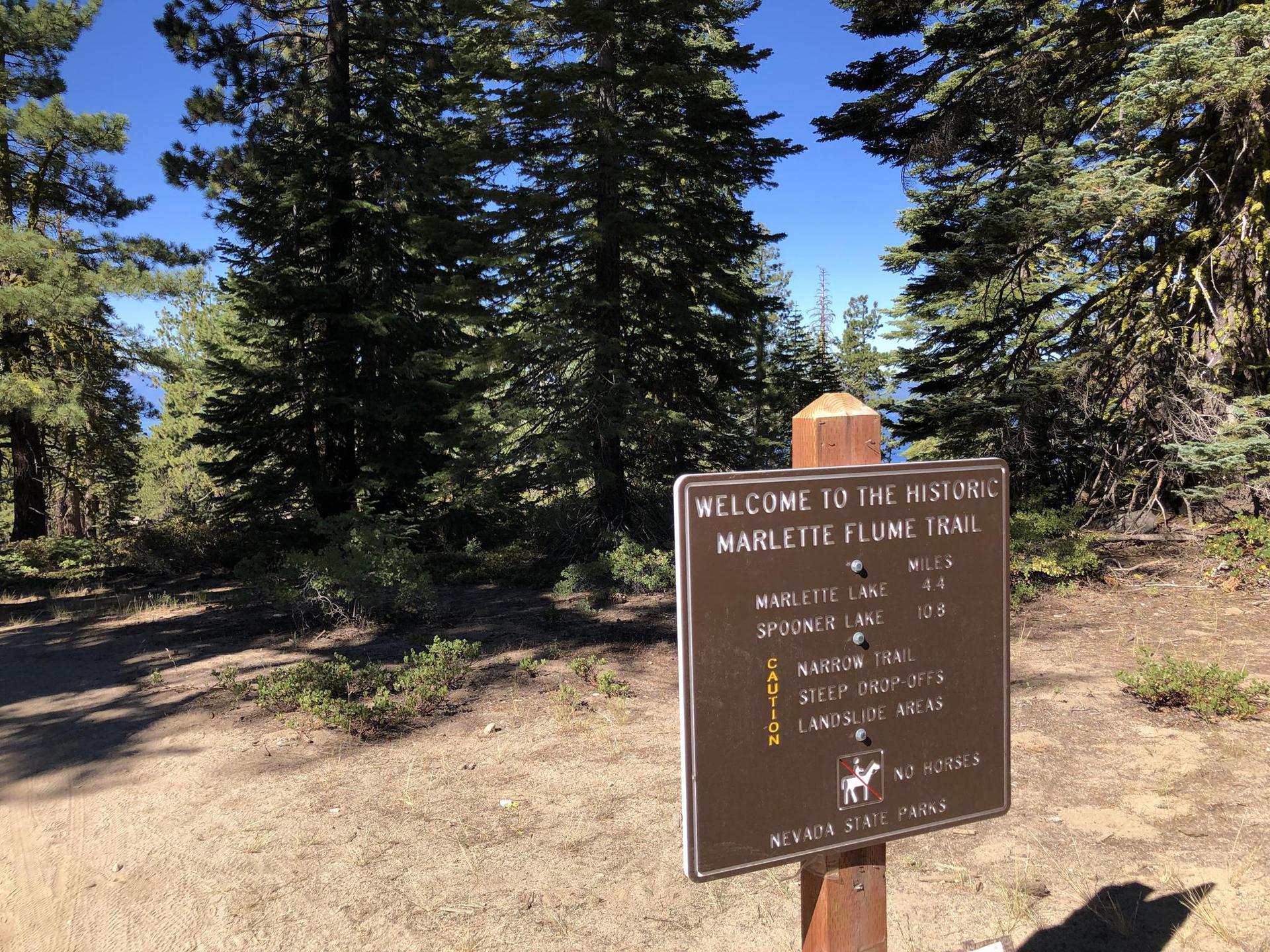 A brown trail sign in a forest with tall pine trees under a clear sky.