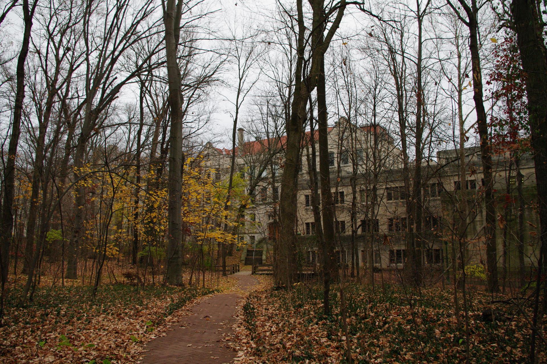 Overcast view of a path through bare trees leading to a large building.