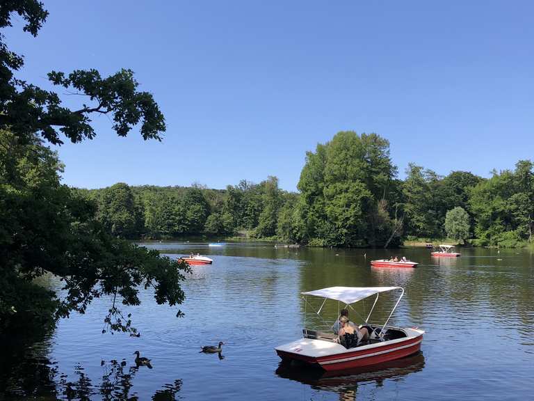 Steinbrücker Teich Wanderungen und Rundwege komoot