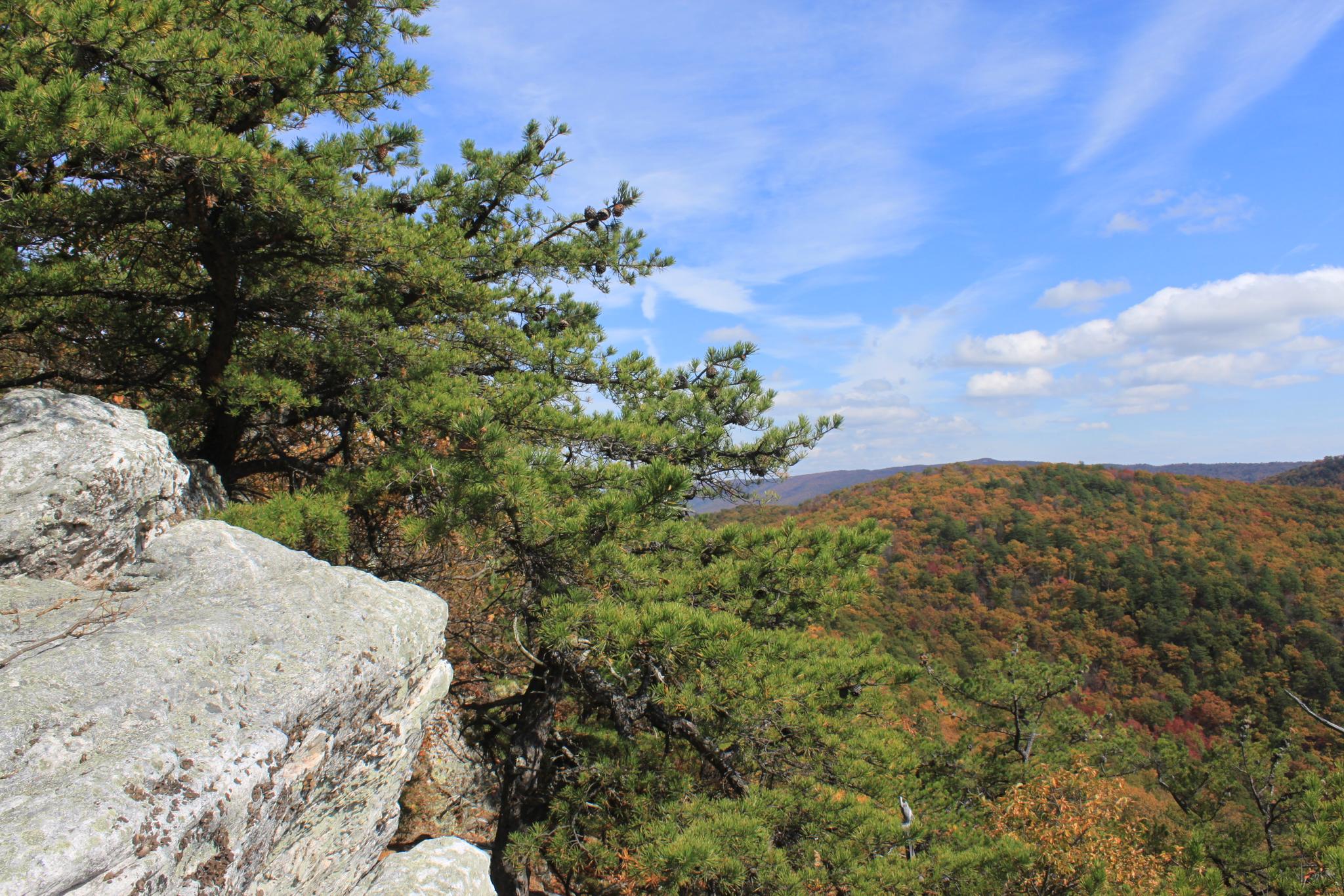 Rocky cliff and pine trees overlook a sunny autumn forest valley.