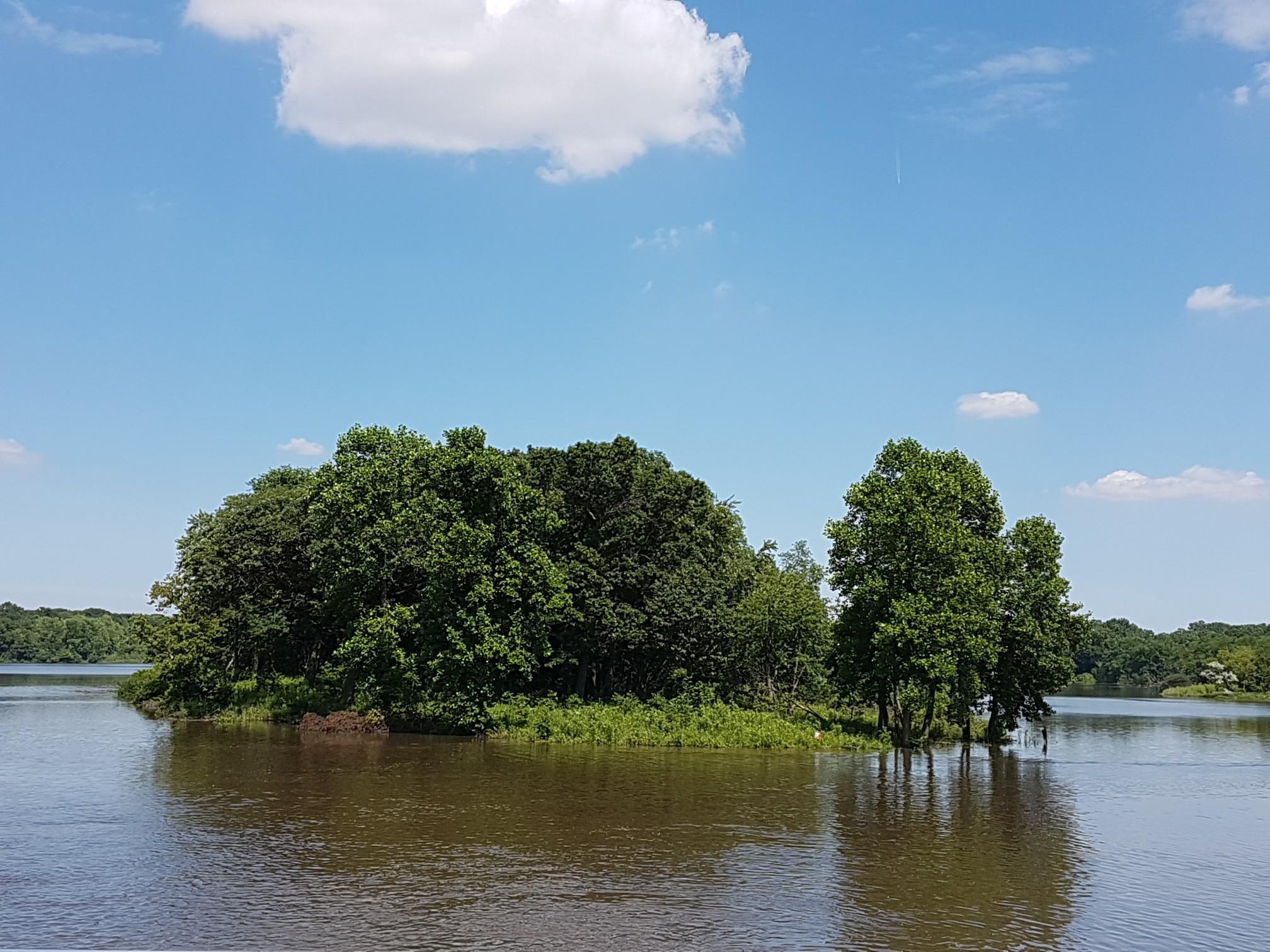 Small wooded island in a lake under a bright blue sky with white clouds.