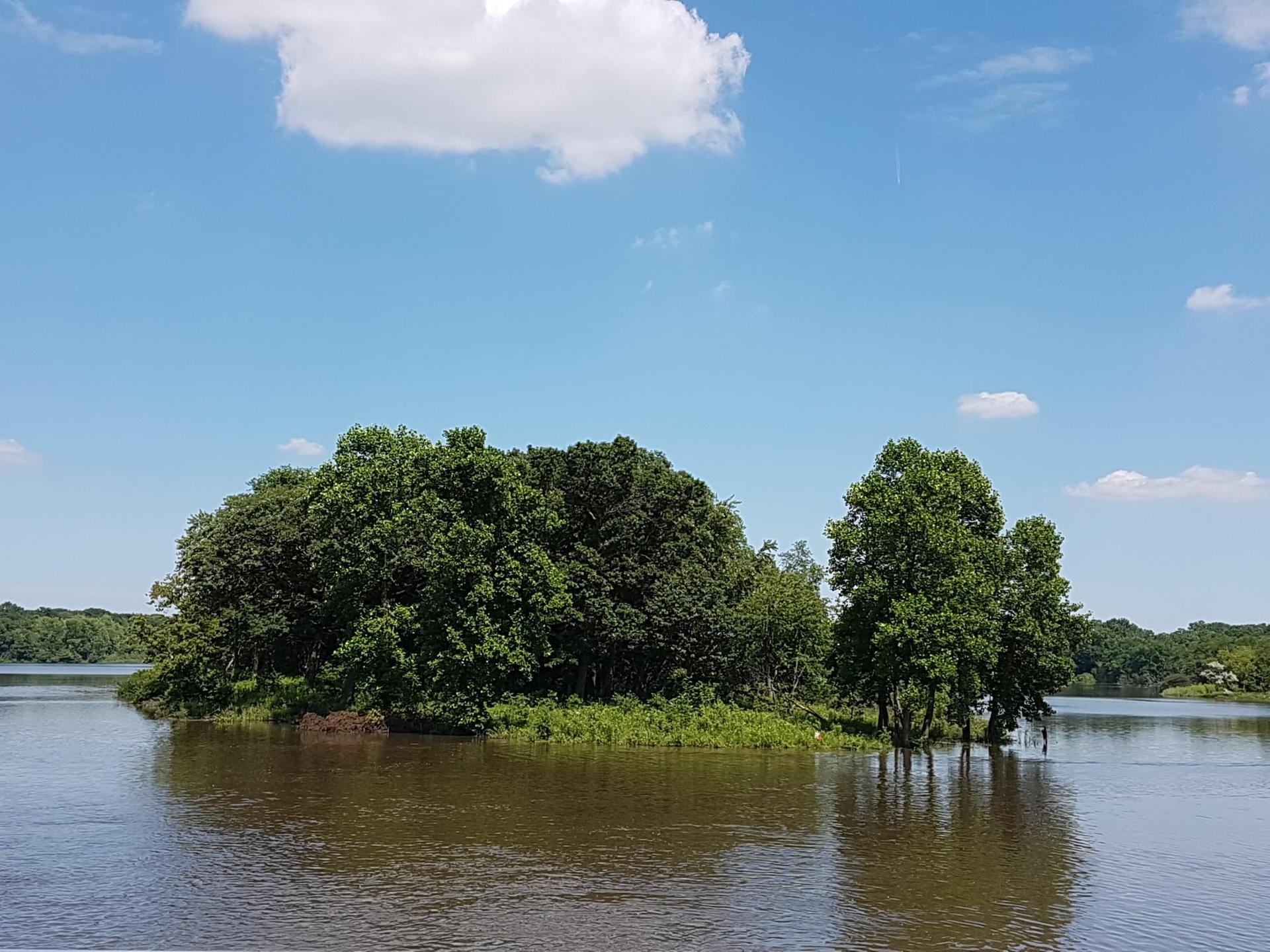 Small wooded island in a lake under a bright blue sky with white clouds.