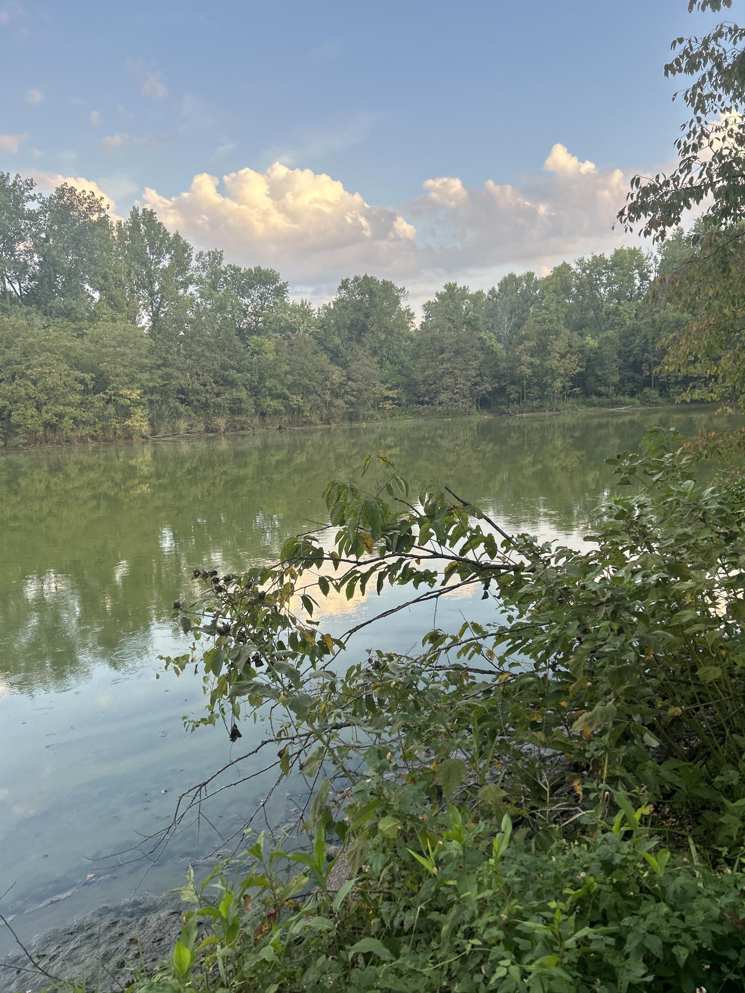 Calm lake reflecting cloudy sky, surrounded by dense green trees and bushes.