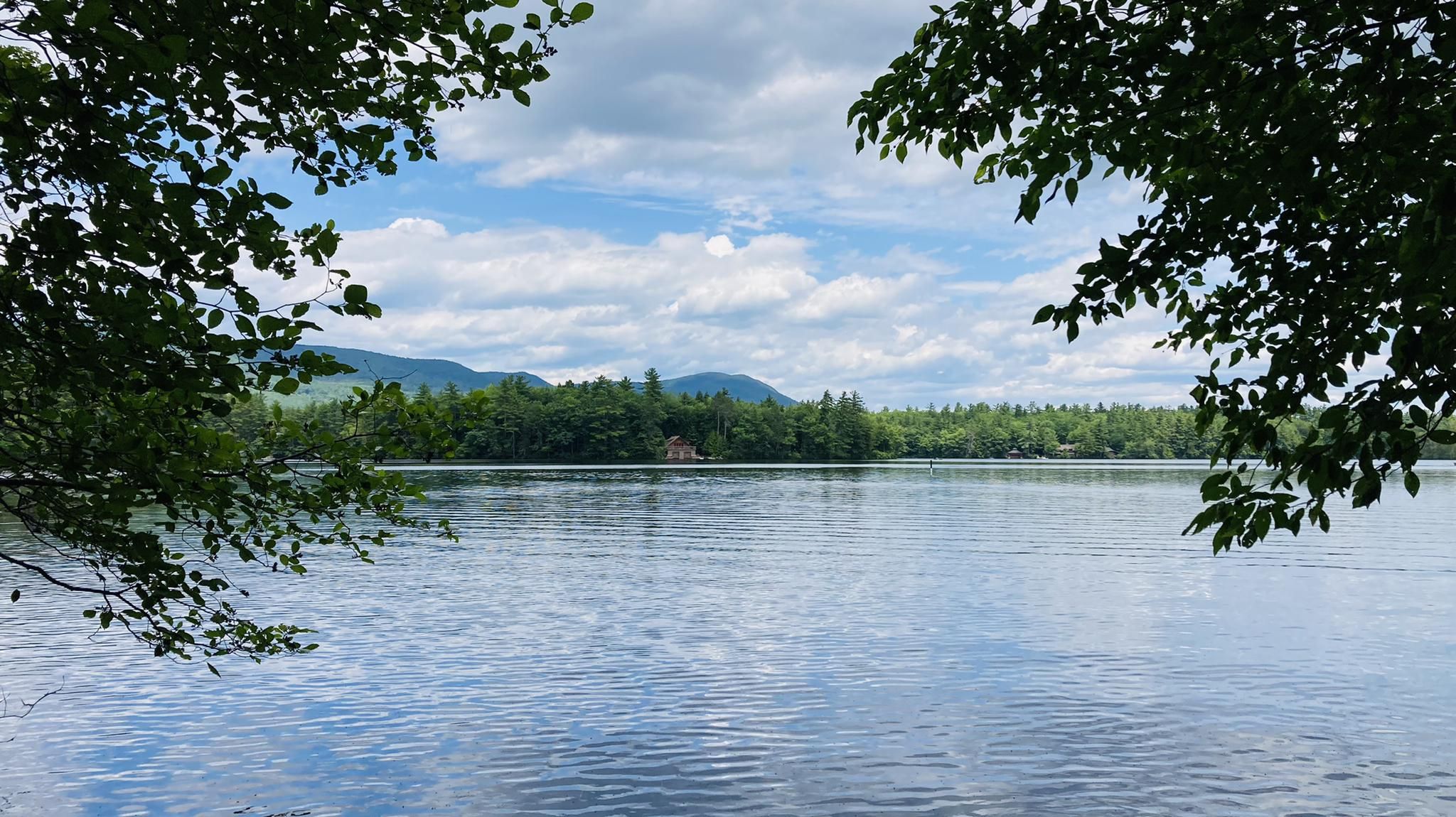 Calm lake framed by trees, with distant forested mountains under cloudy sky. - Five Finger Point Trail