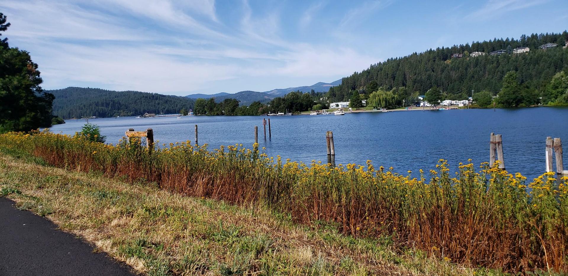 Sunny lake view with grassy foreground, distant forested hills, and wooden posts.