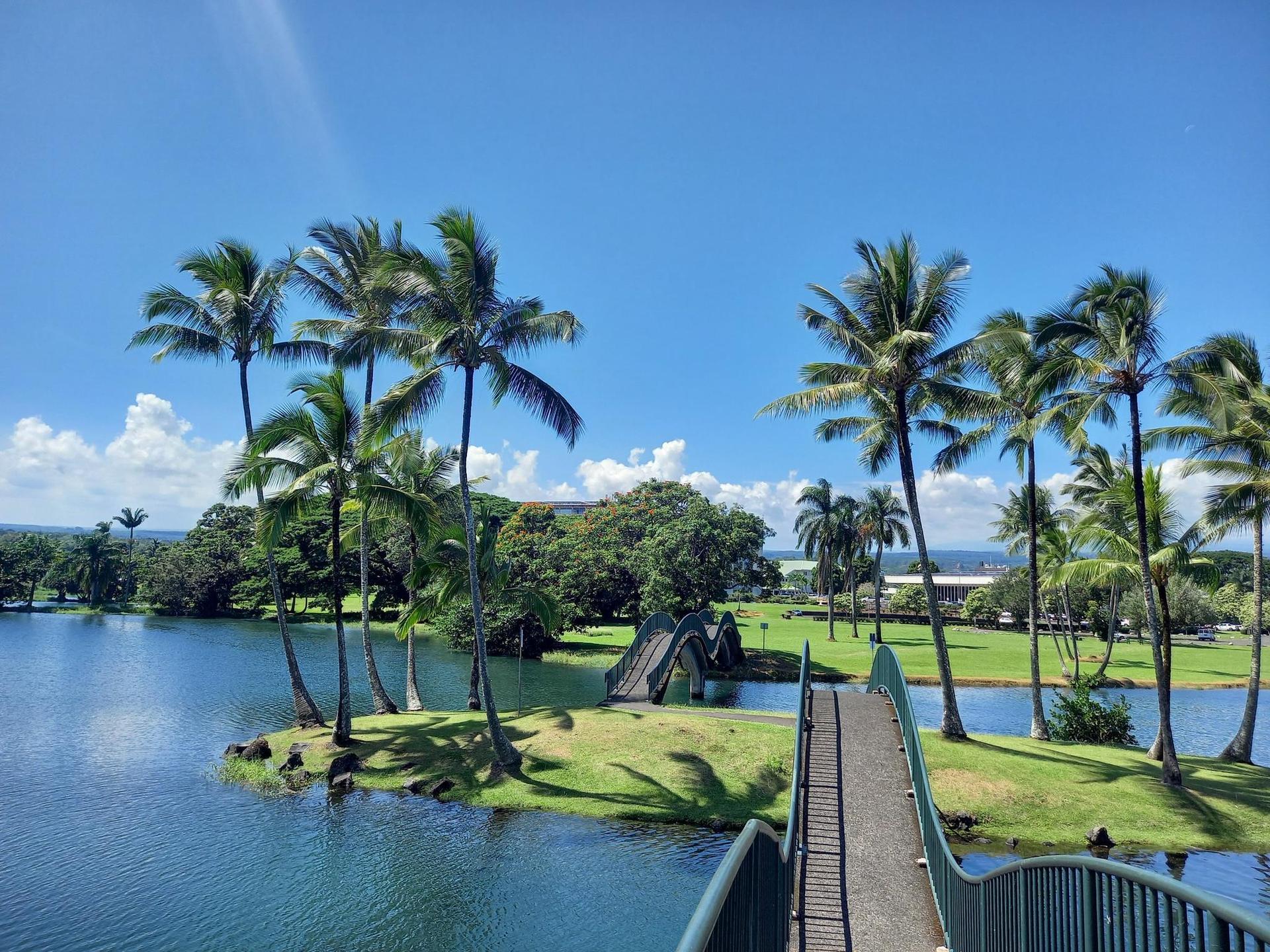 A curved bridge over blue water leads to a palm-filled island on a sunny day.