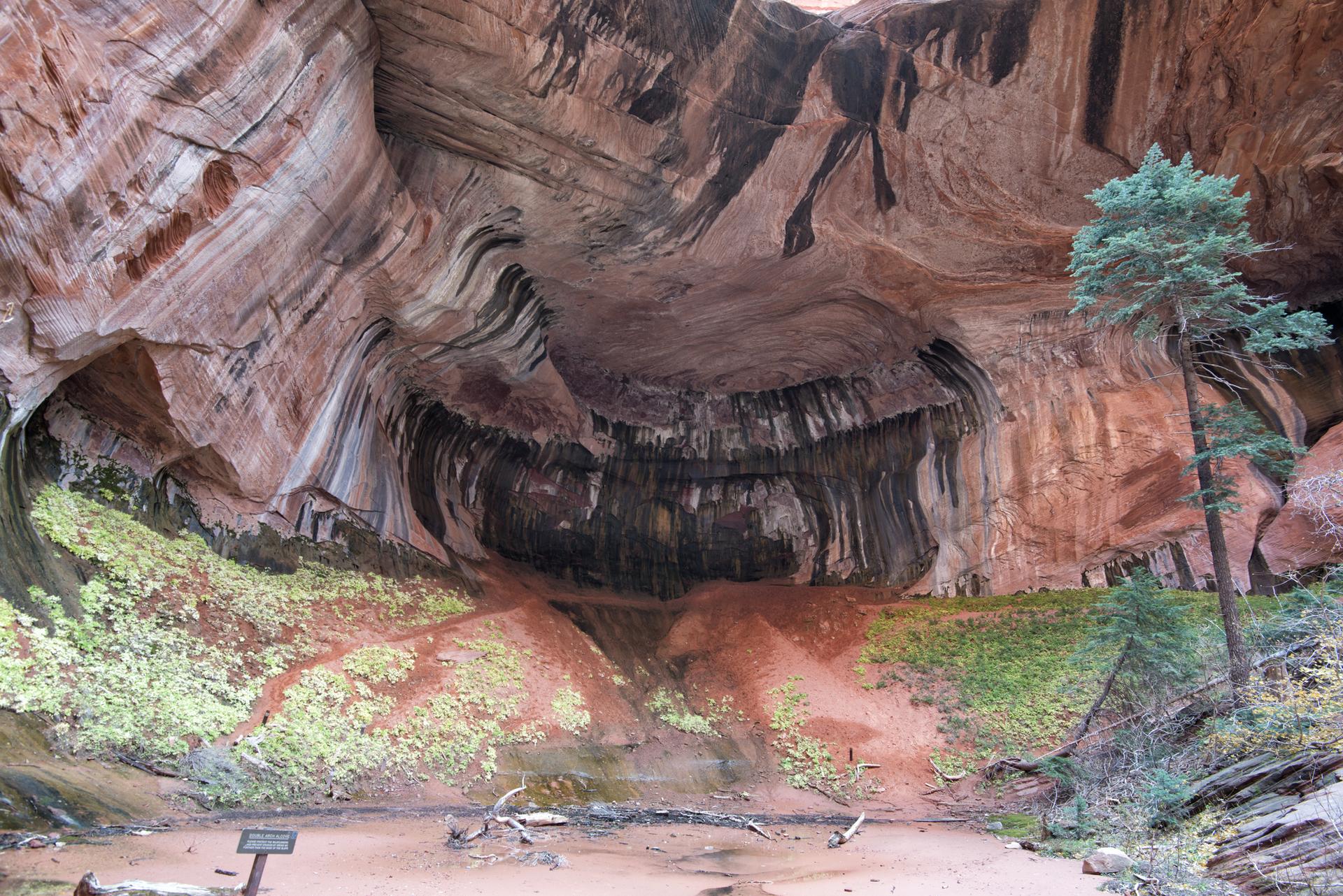 A large, dark cave with striped rock walls and green mossy ground.