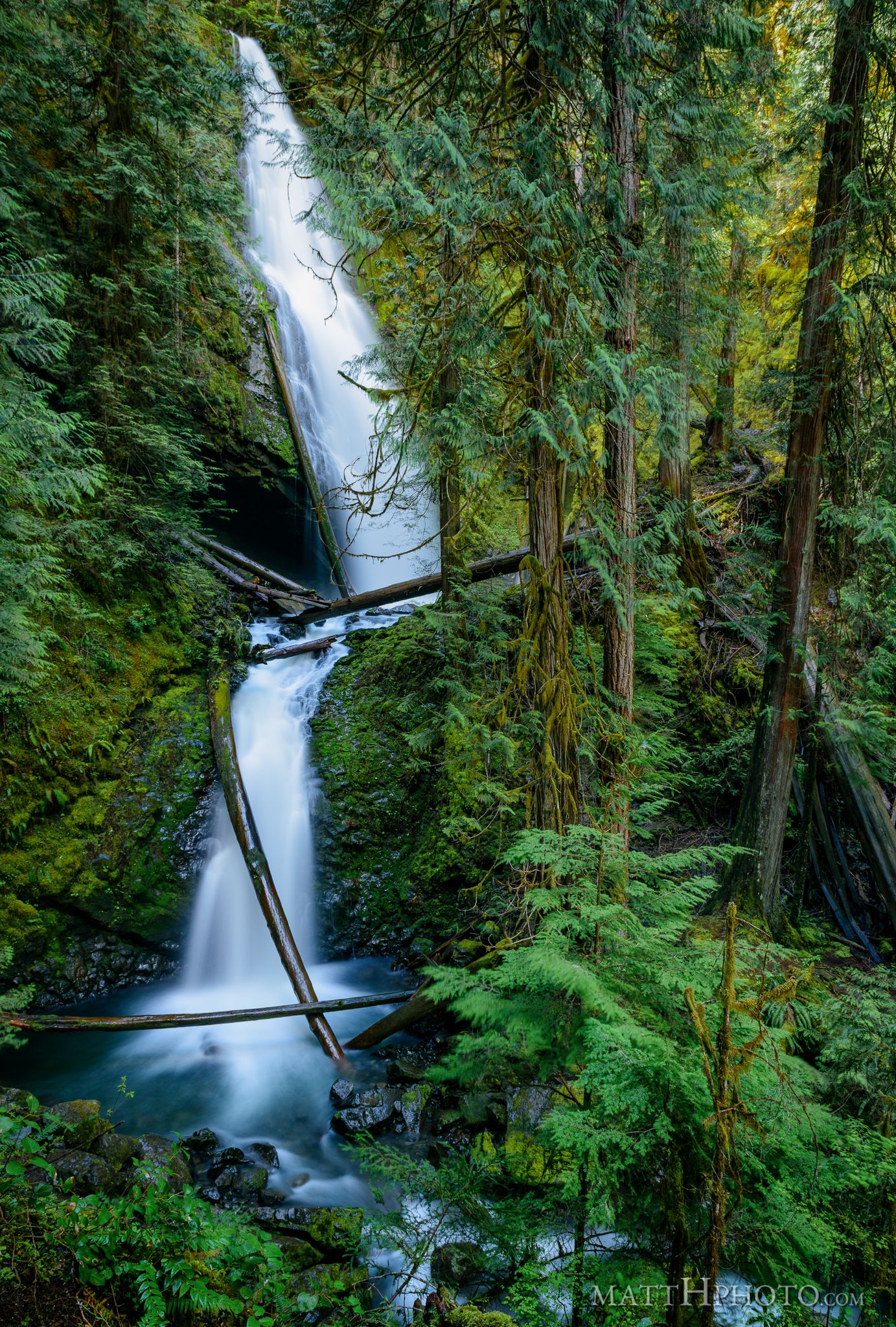 Tall waterfall cascading through a dense, green forest with fallen logs. - Murhut Falls Trail