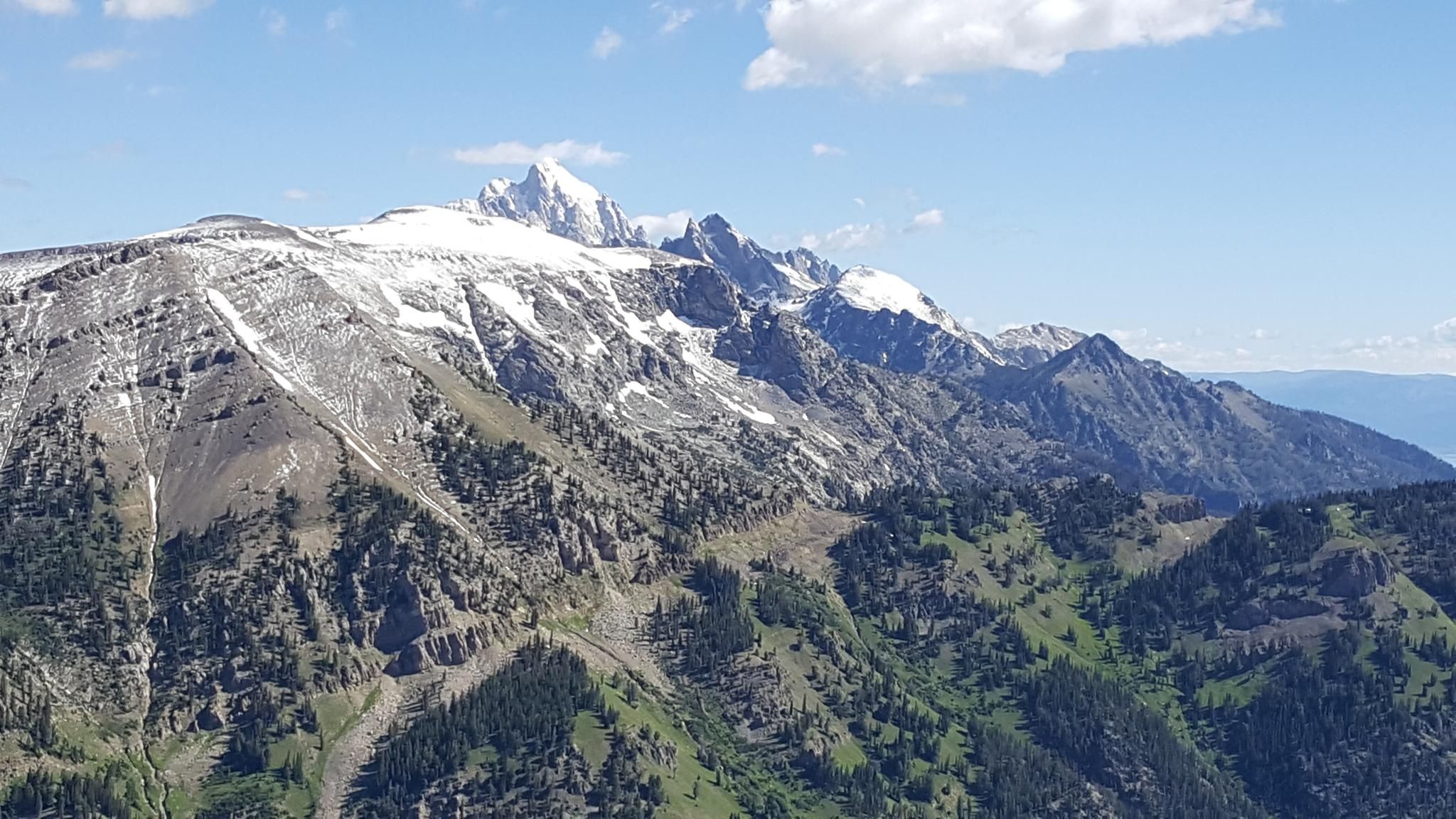 Majestic snow-capped mountains rise above green forested slopes under a blue sky. - Rendezvous Mountain Summit via Wildflower and Cirque Trails