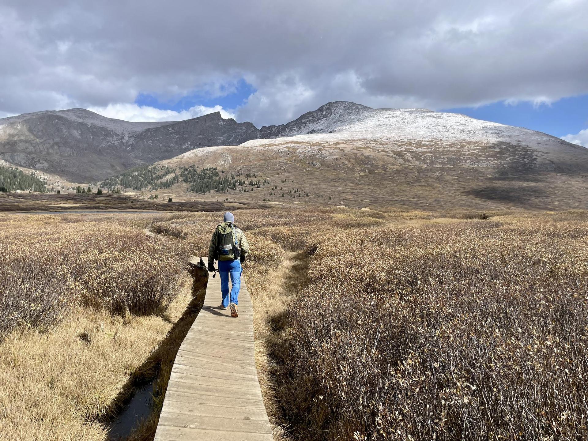Person walks on a boardwalk through autumn fields towards snow-dusted mountains under clouds.