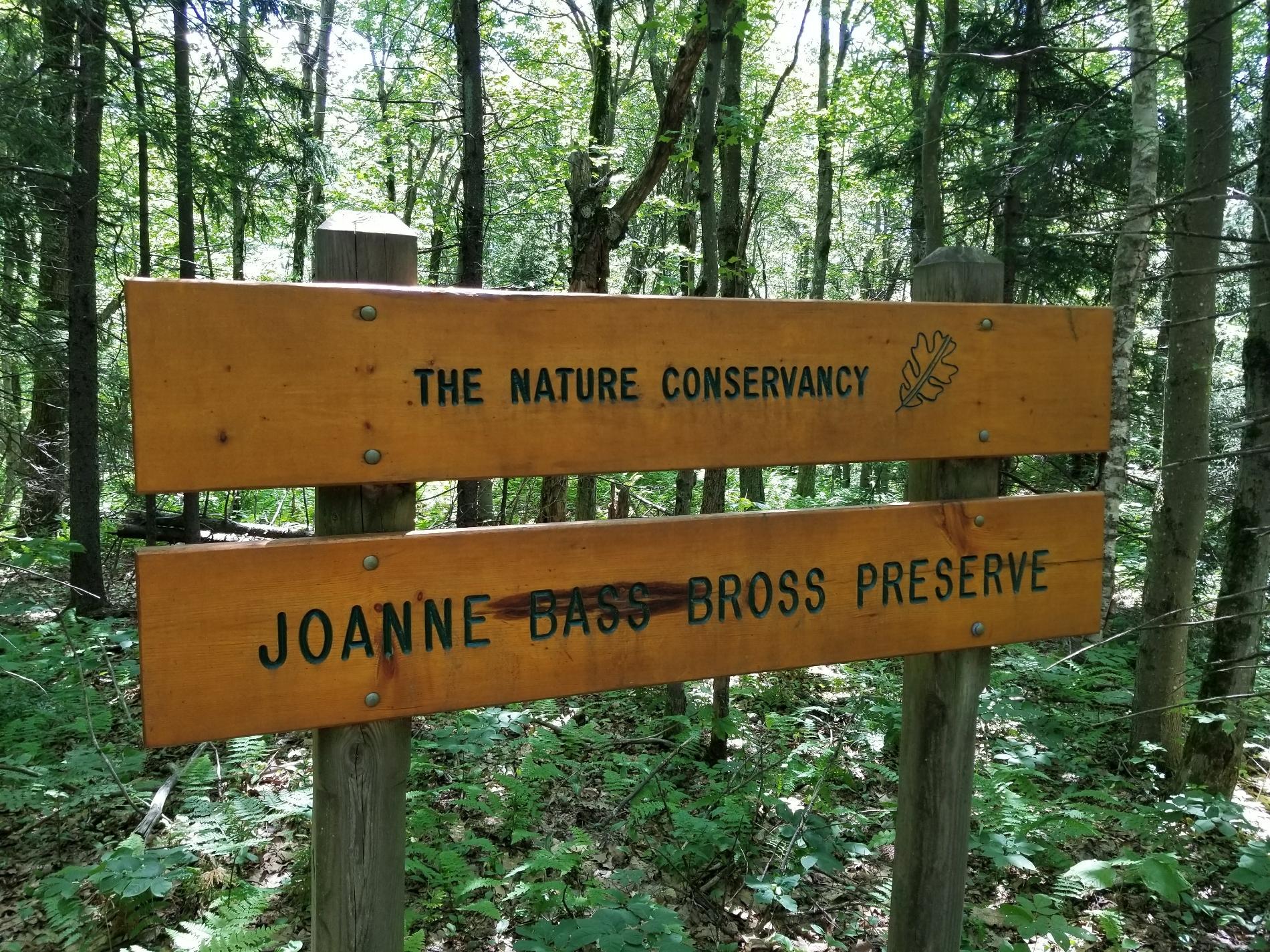 Wooden sign in a sun-dappled forest, surrounded by green trees and undergrowth.