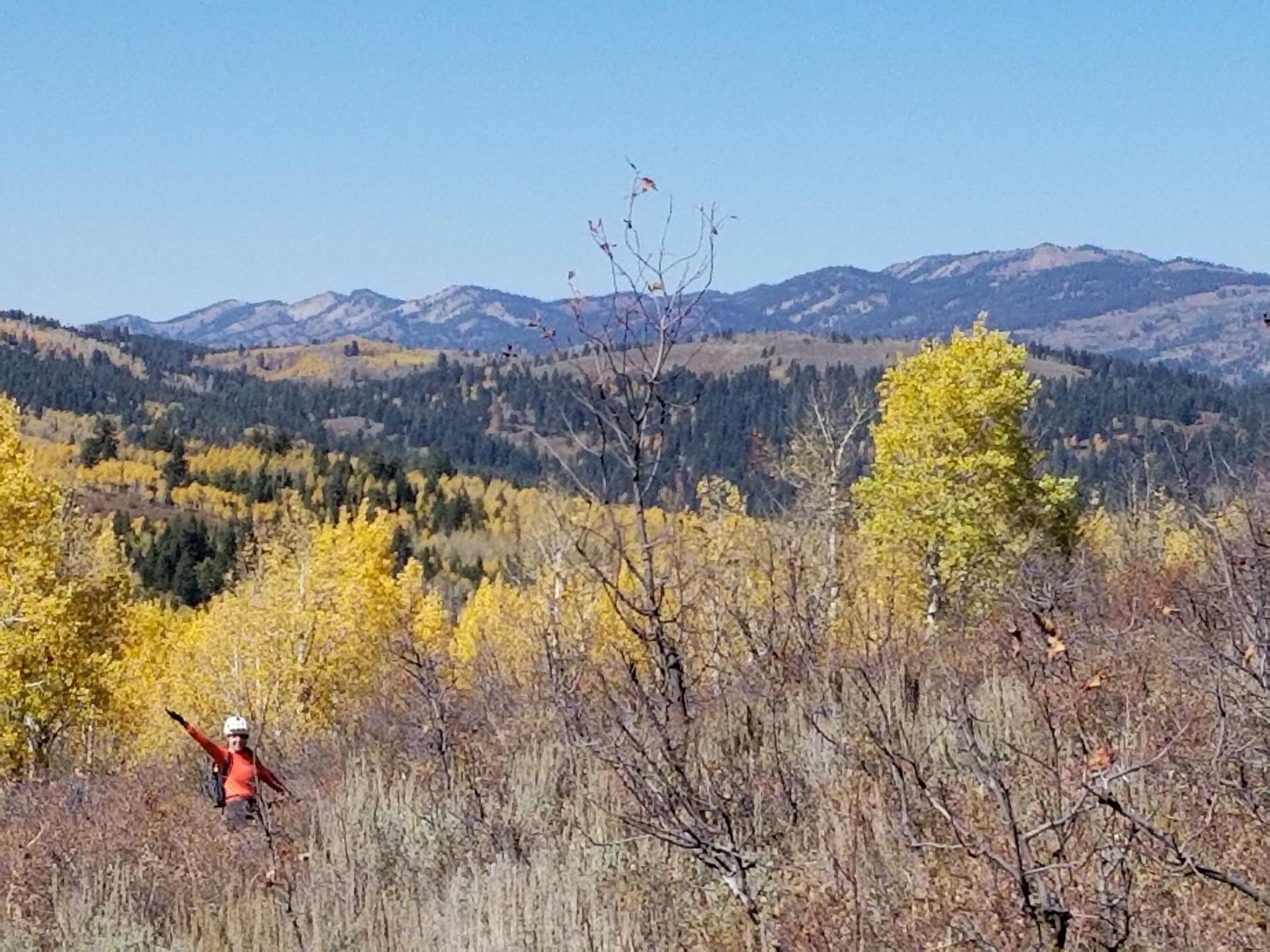 Person in orange shirt enjoying a sunny autumn mountain landscape.
