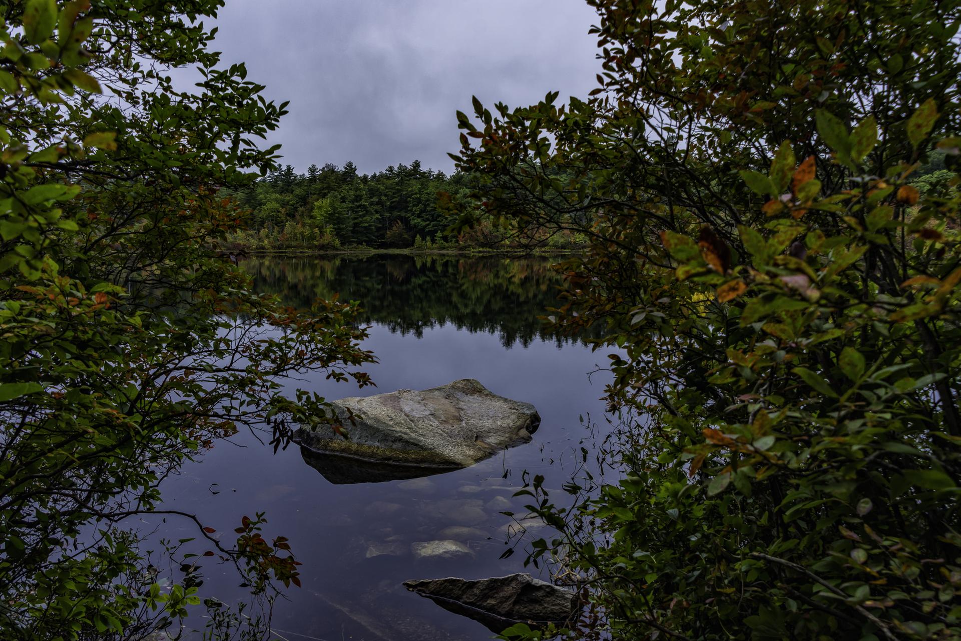 Overcast day over a dark lake with a rock, framed by green trees.