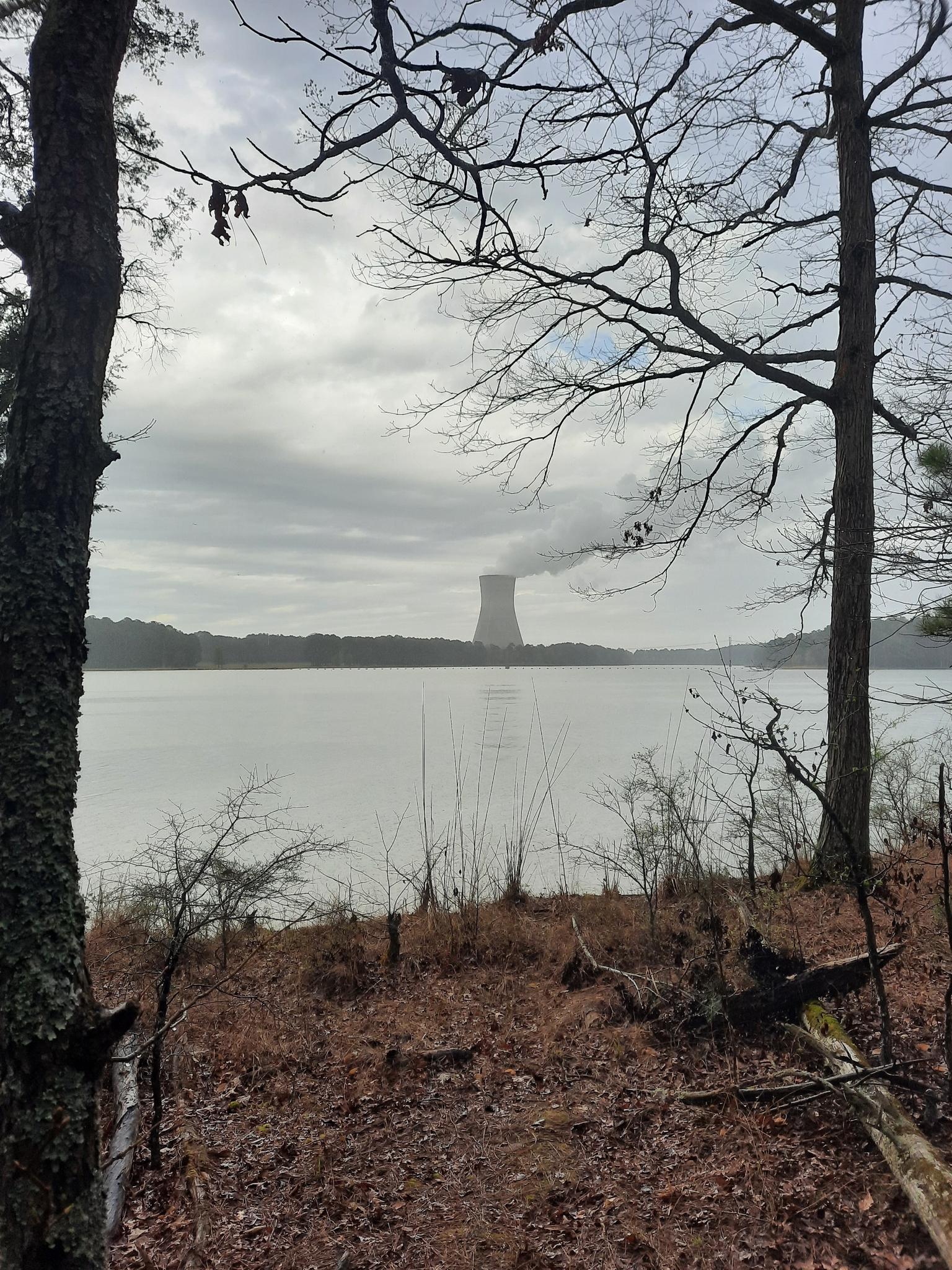 A distant cooling tower across a lake, framed by bare trees under a cloudy sky.