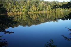 Calm lake reflecting lush green trees under bright daylight.