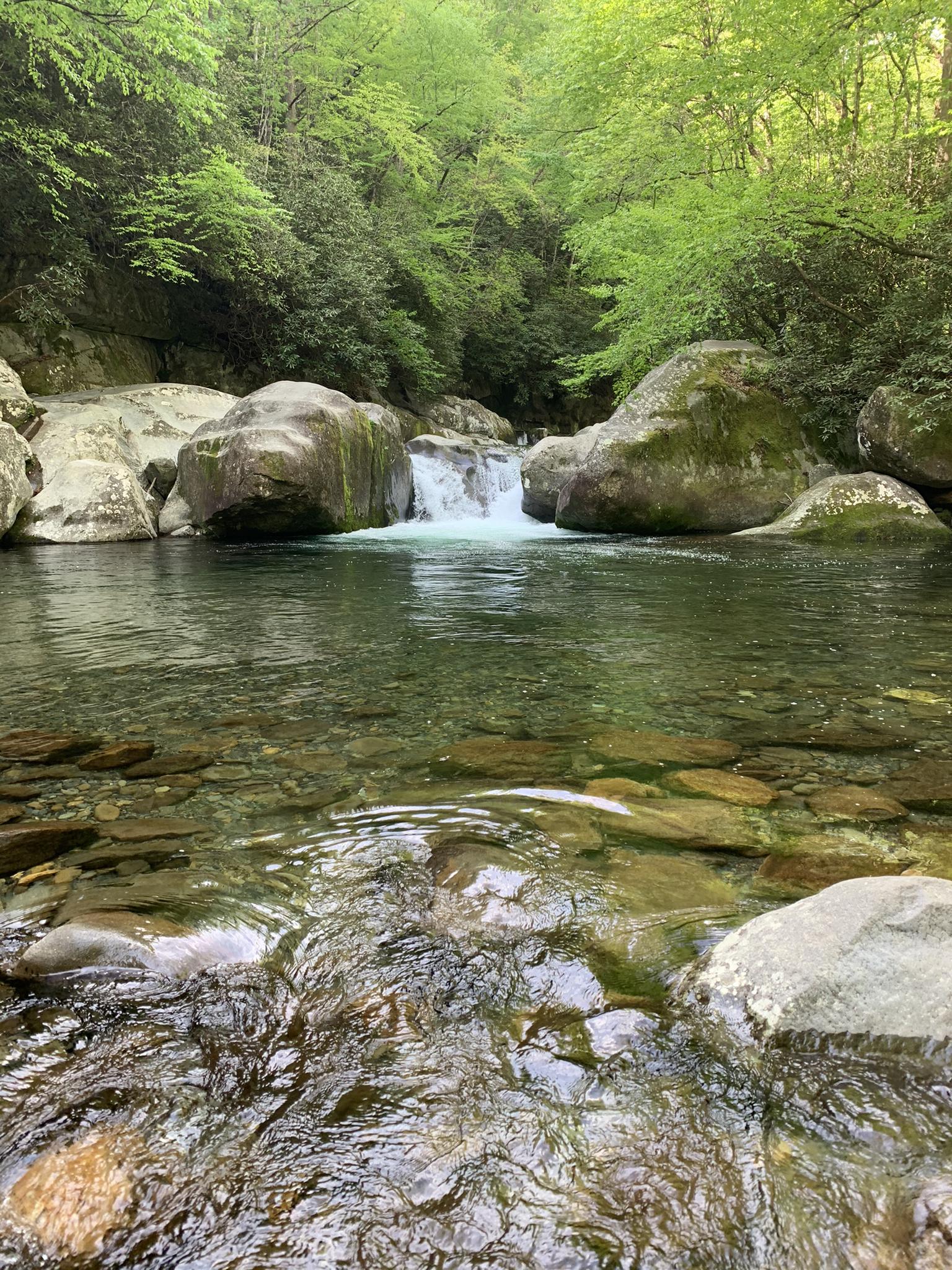 A clear river flows past large rocks and a small waterfall.