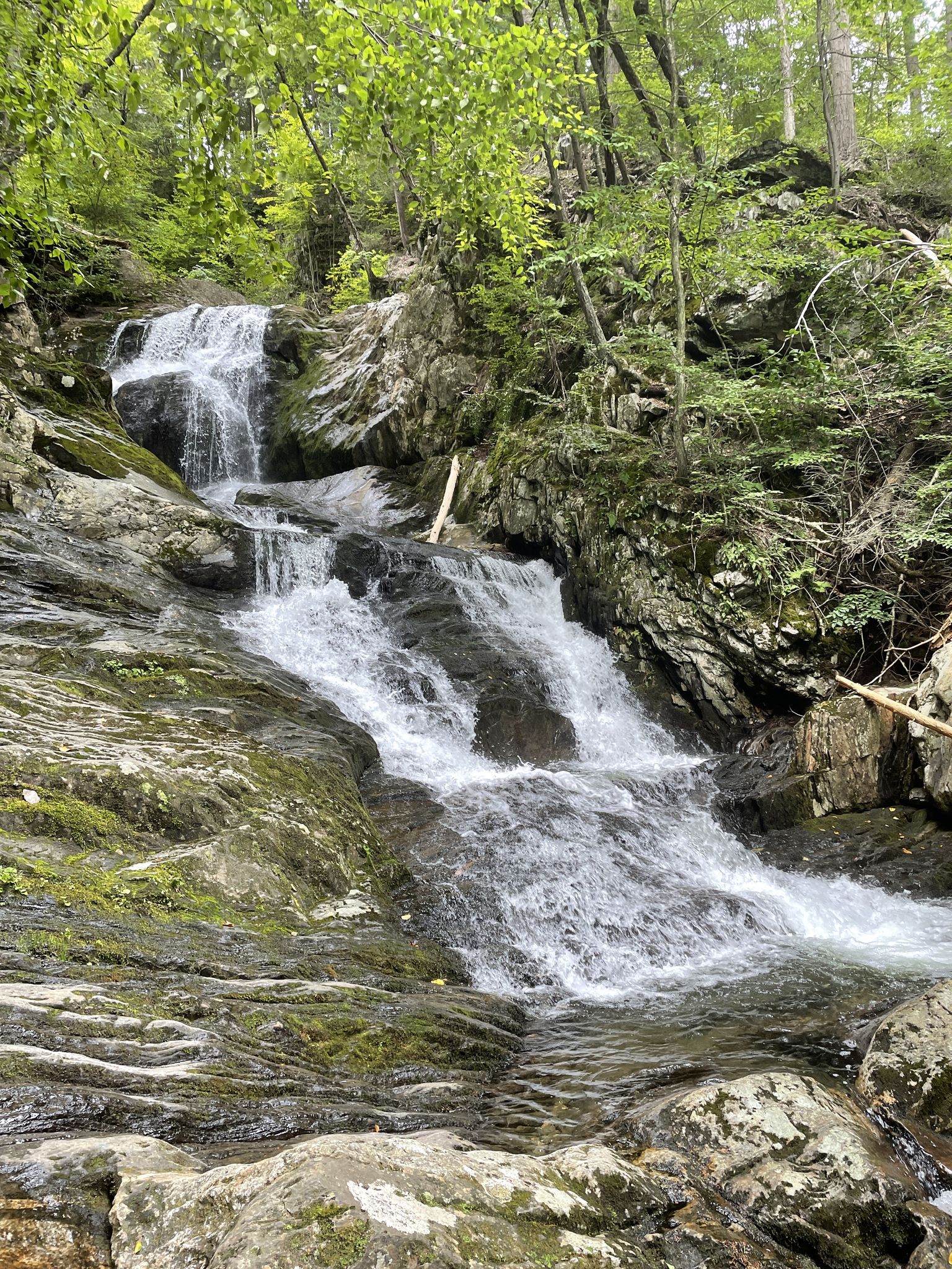 Multi-tiered waterfall cascades over mossy rocks in a lush green forest. - Sanderson Brook Falls Trail