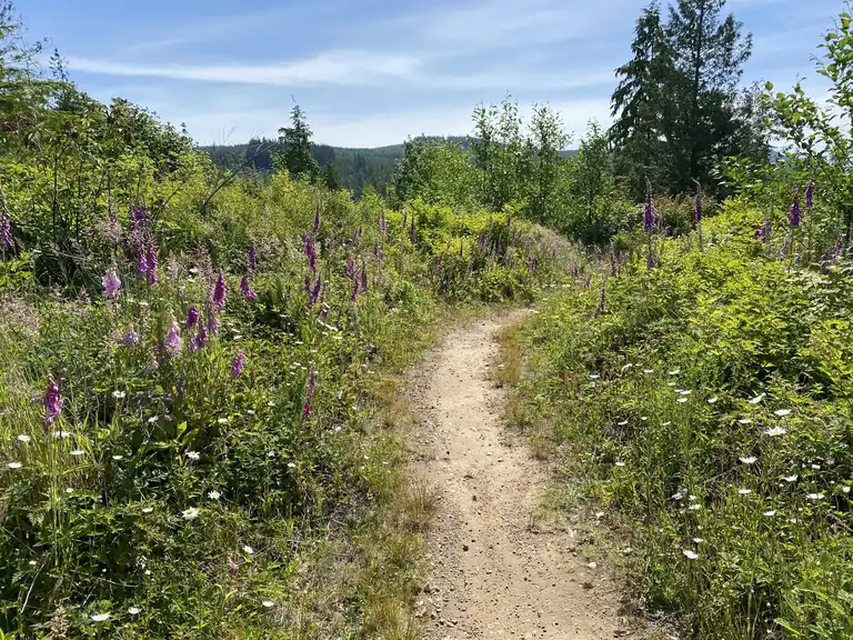 Lookout Mountain Open Space loop | hike | Komoot