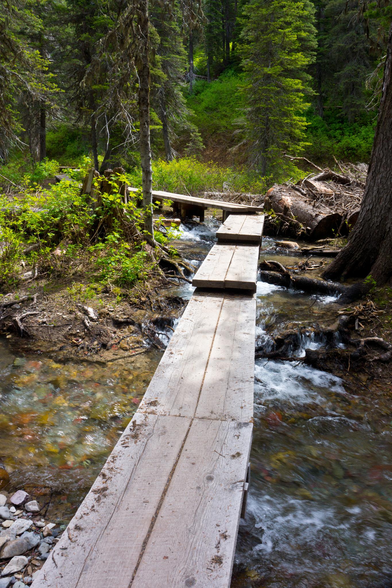Wooden planks form a narrow path over a rocky stream in a dense forest.