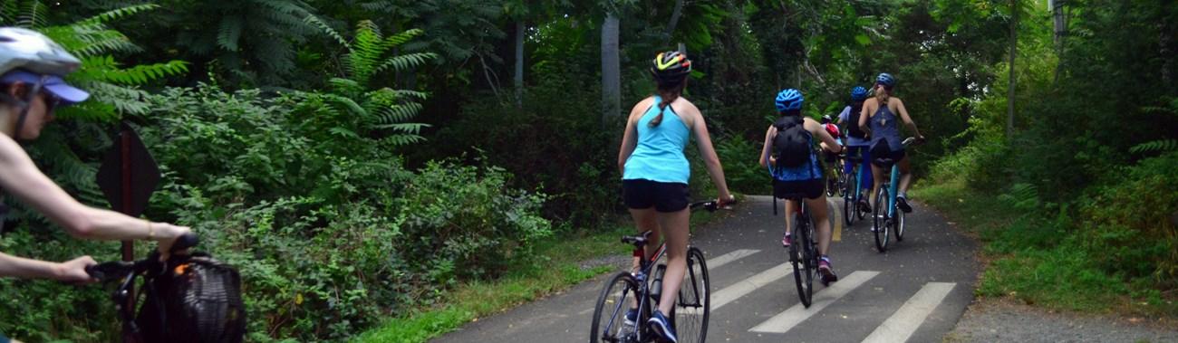 Group of people cycling on a paved path through a dense green forest.