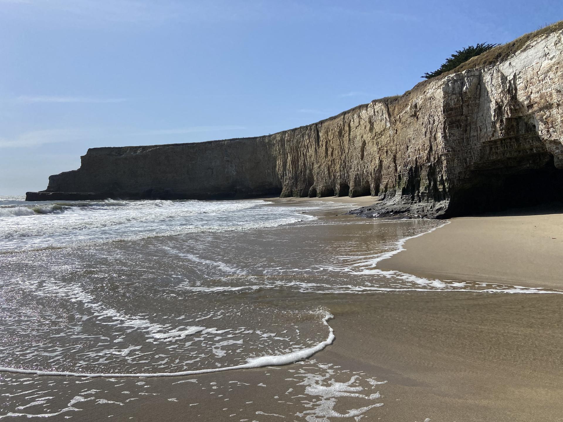 Sunny waves breaking on a sandy beach below towering sea cliffs with caves.